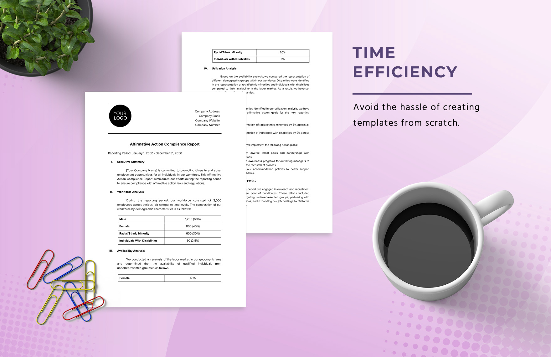 Affirmative Action Compliance Report HR Template