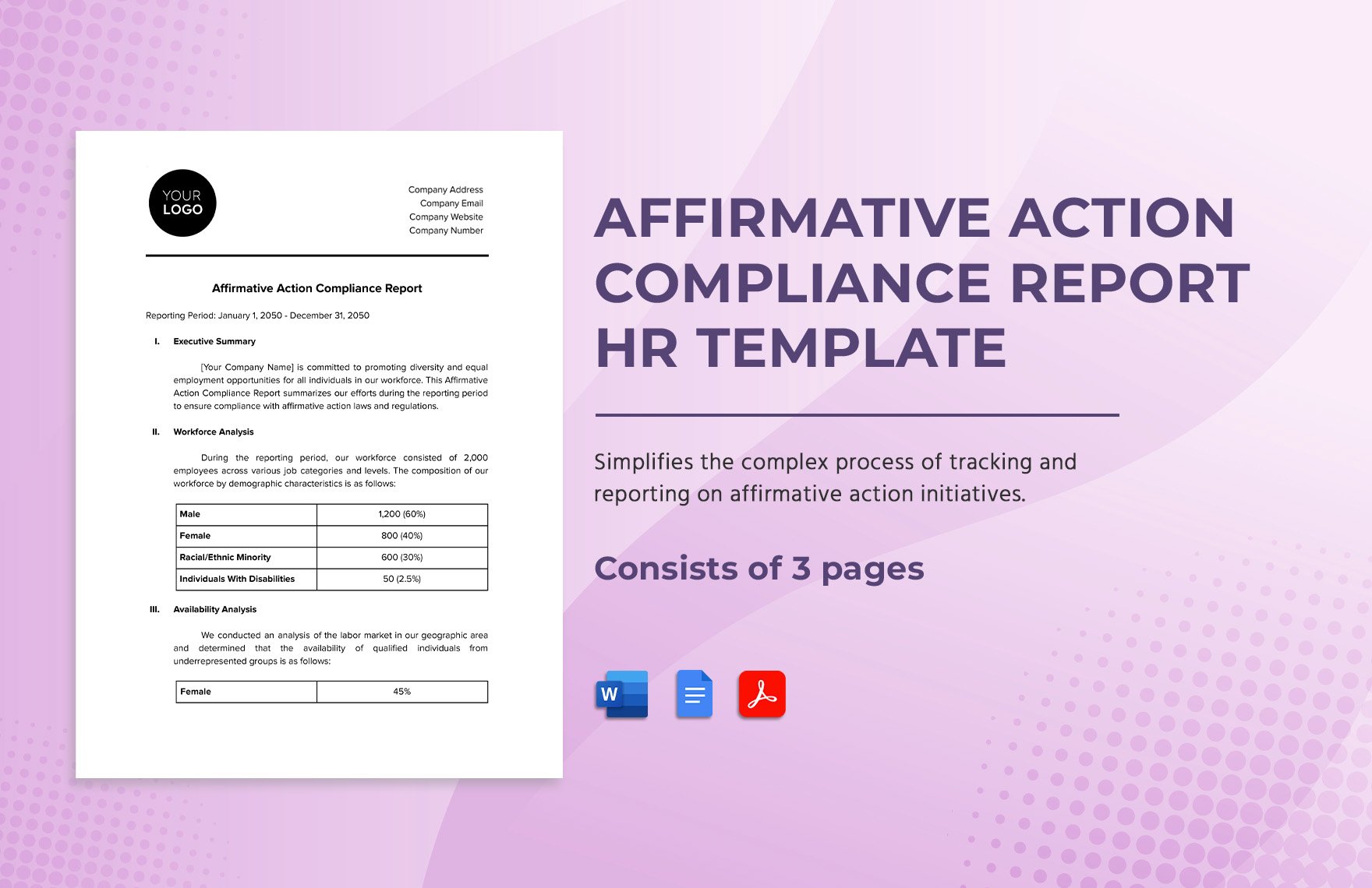Affirmative Action Compliance Report HR Template