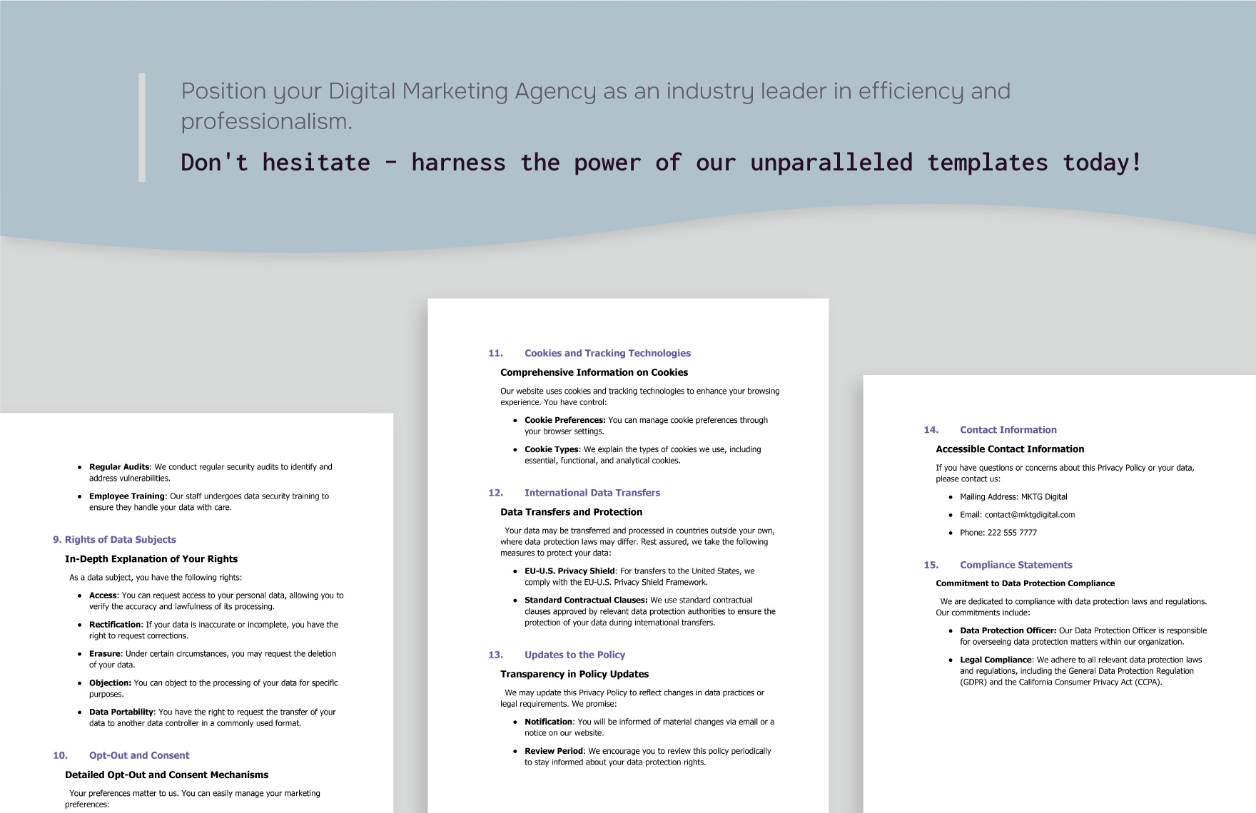 Digital Marketing Agency Customer Data Privacy Policy Template
