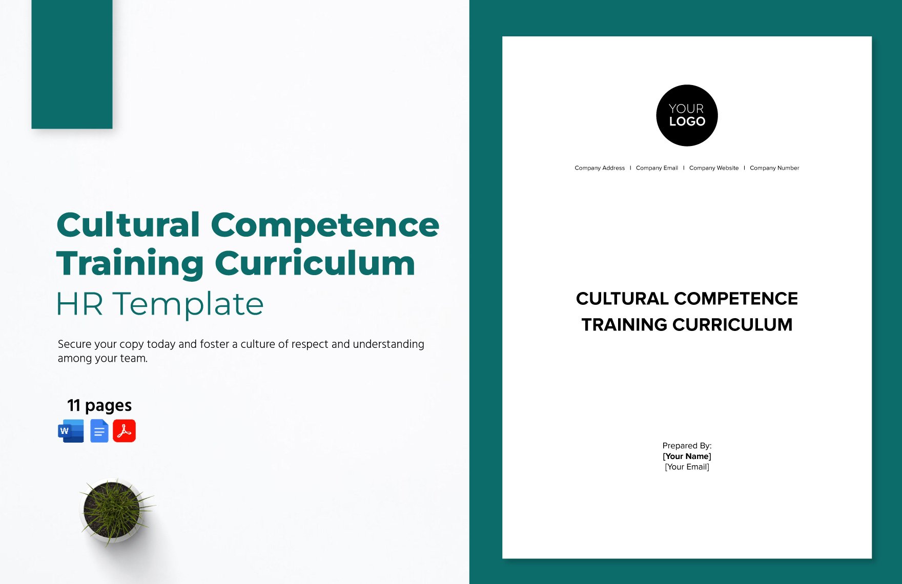 Cultural Competence Training Curriculum HR Template