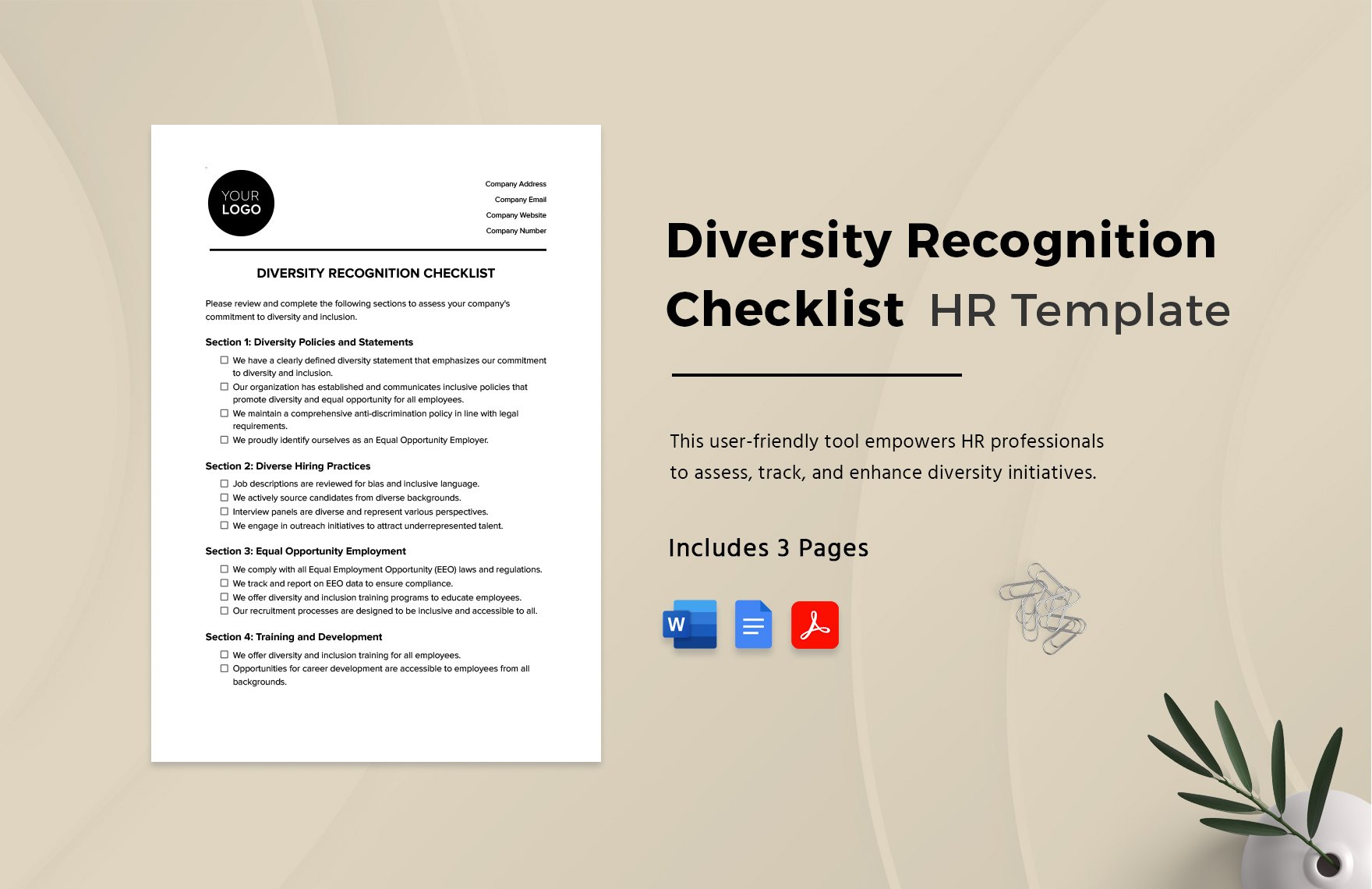 Diversity Recognition Checklist HR Template