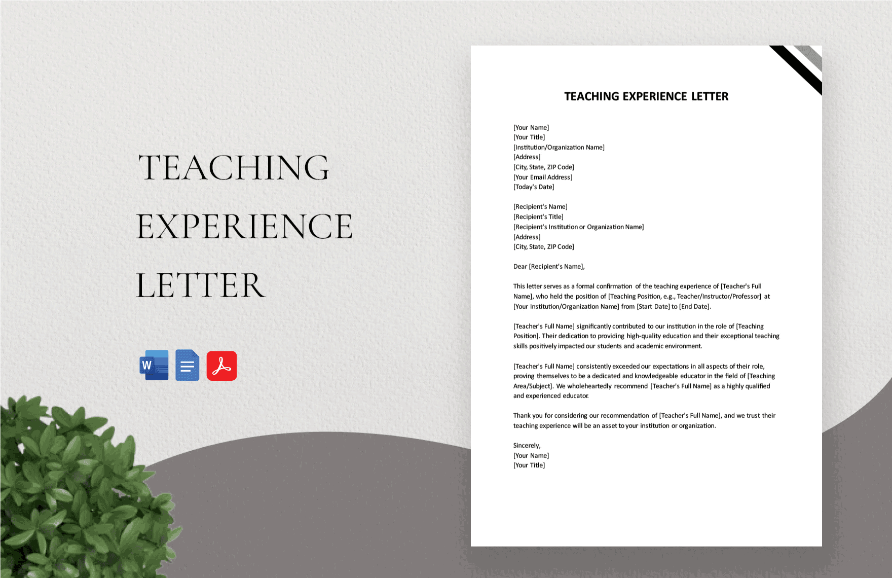 Free Teaching Experience Letter