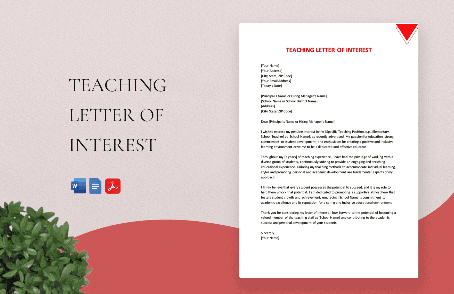 Teaching Letter Of Interest in Word, Google Docs, PDF