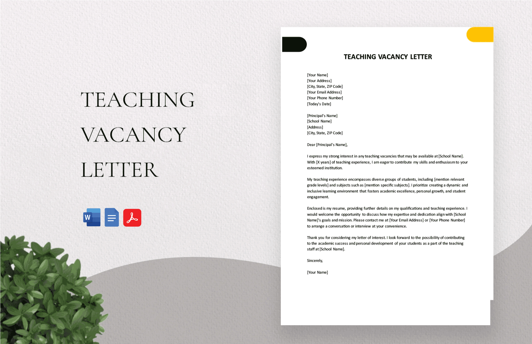 Teaching Vacancy Letter in Word, Google Docs, PDF
