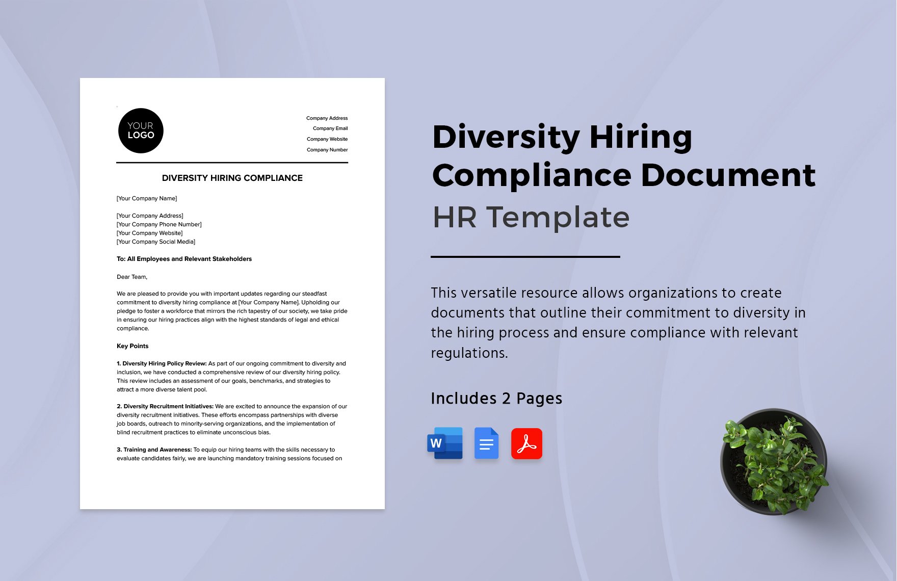 Diversity Hiring Compliance Document HR Template in Word, Google Docs, PDF