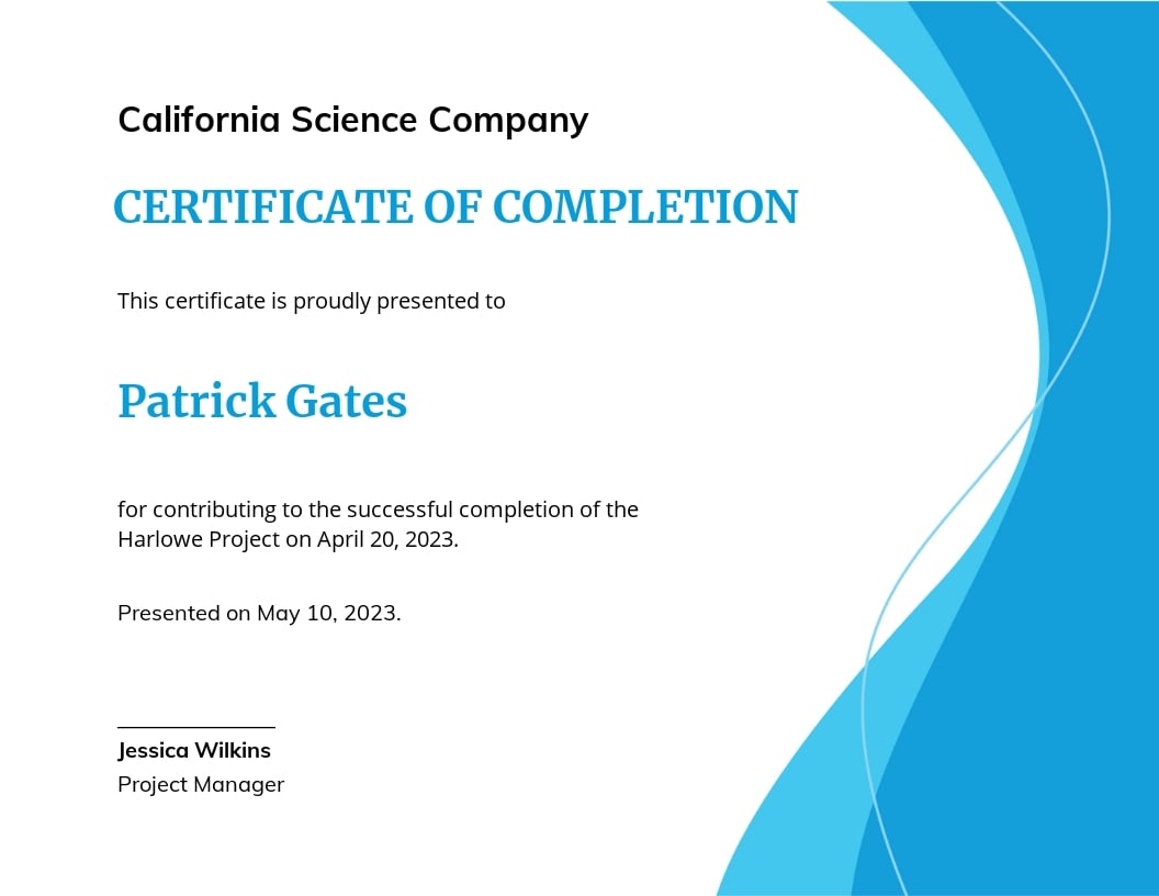 Project Completion Certificate Template - Google Docs, Illustrator, InDesign, Word, Apple Pages, PSD, Publisher