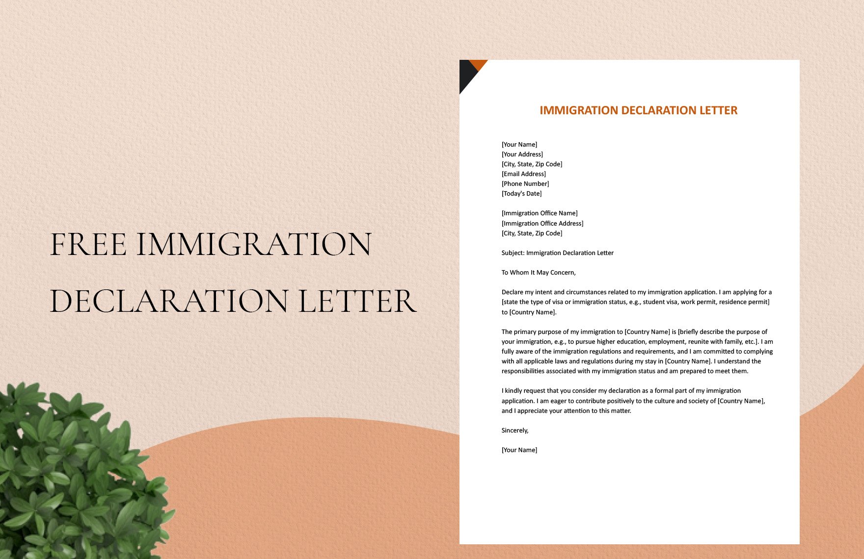 Immigration Declaration Letter