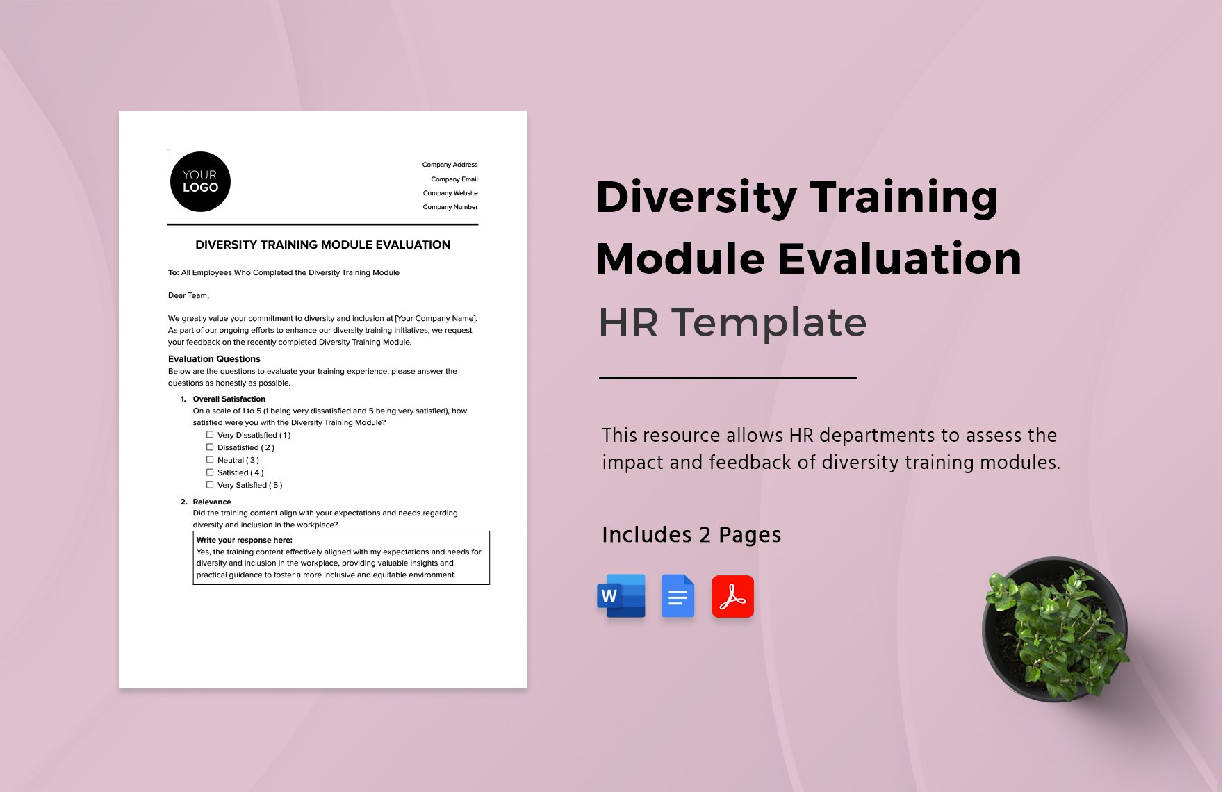 Diversity Training Module Evaluation HR Template in Word, Google Docs, PDF