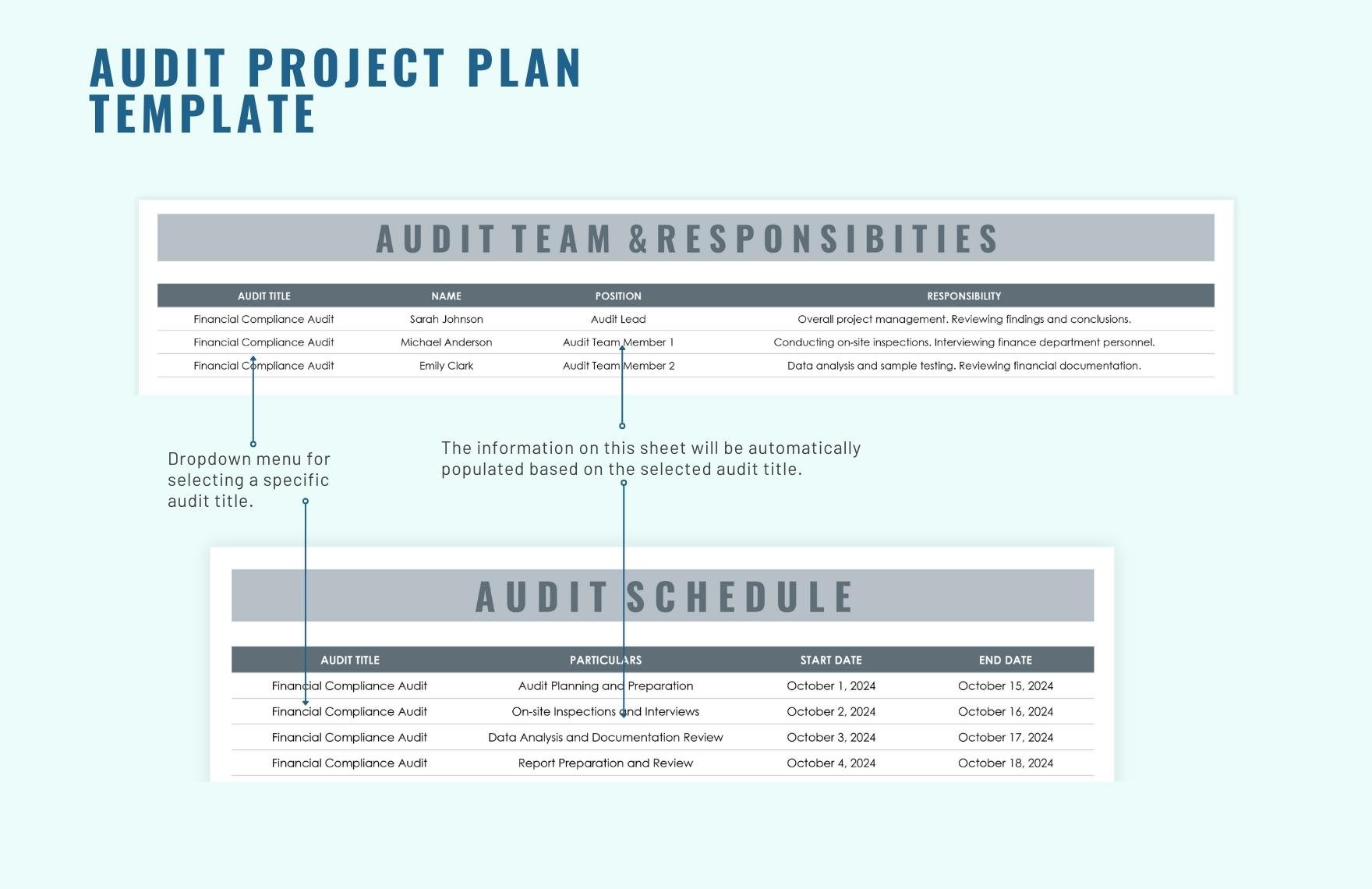 Audit Project Plan Template