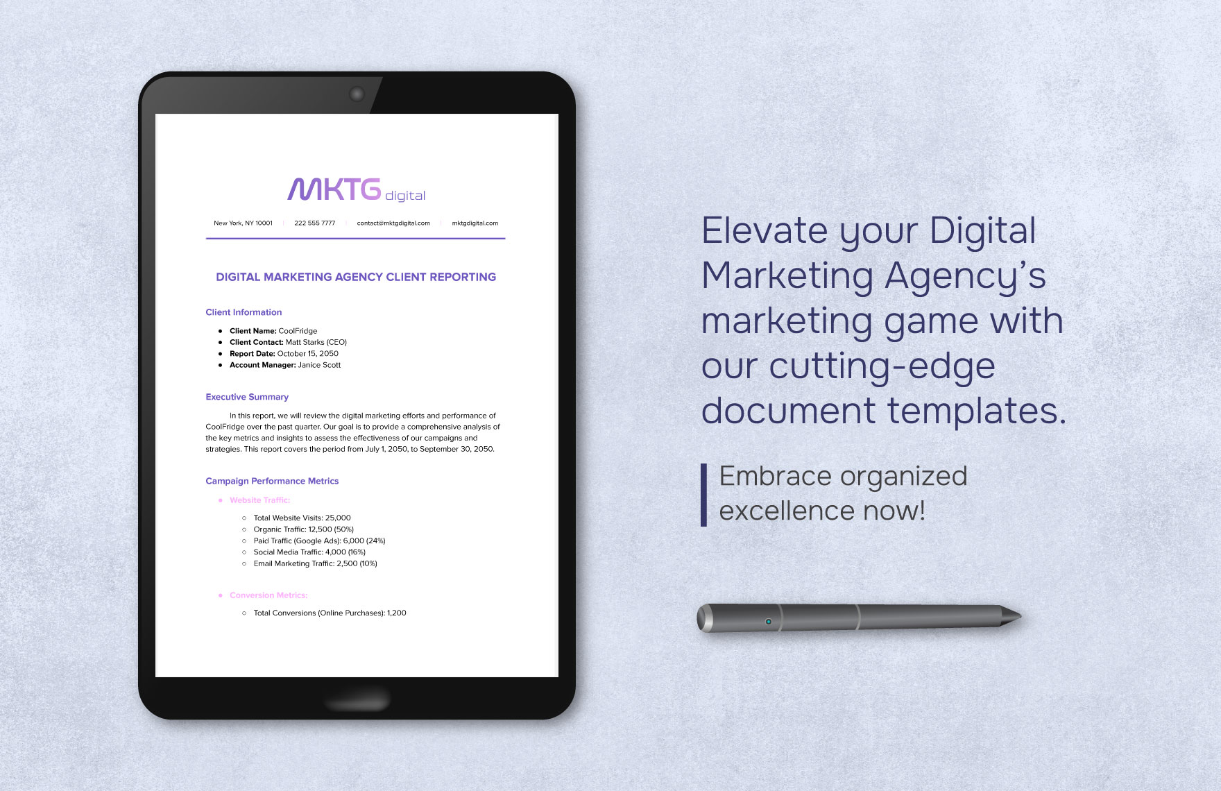 Digital Marketing Agency Client Reporting Template