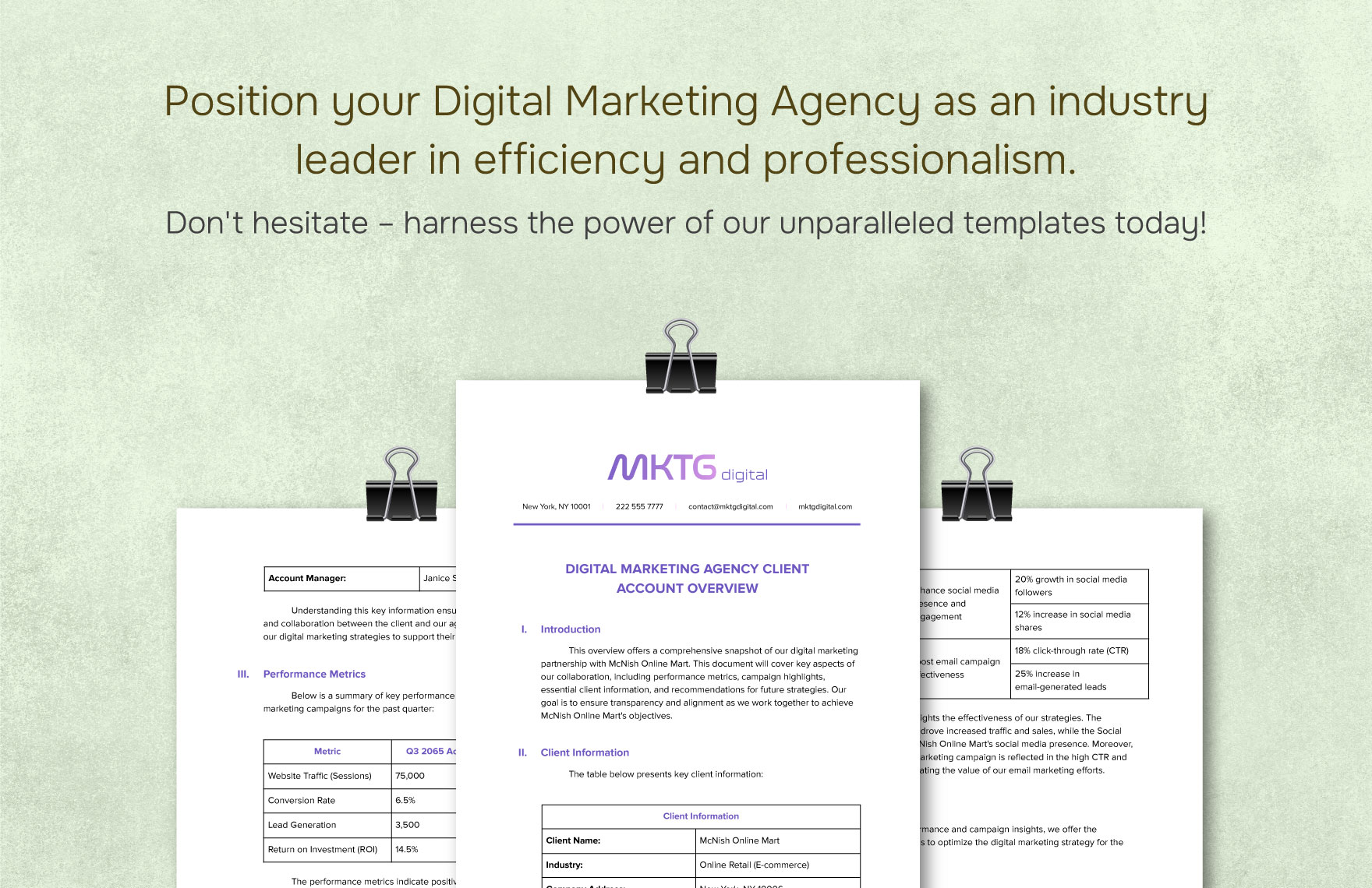 Digital Marketing Agency Client Account Overview Template