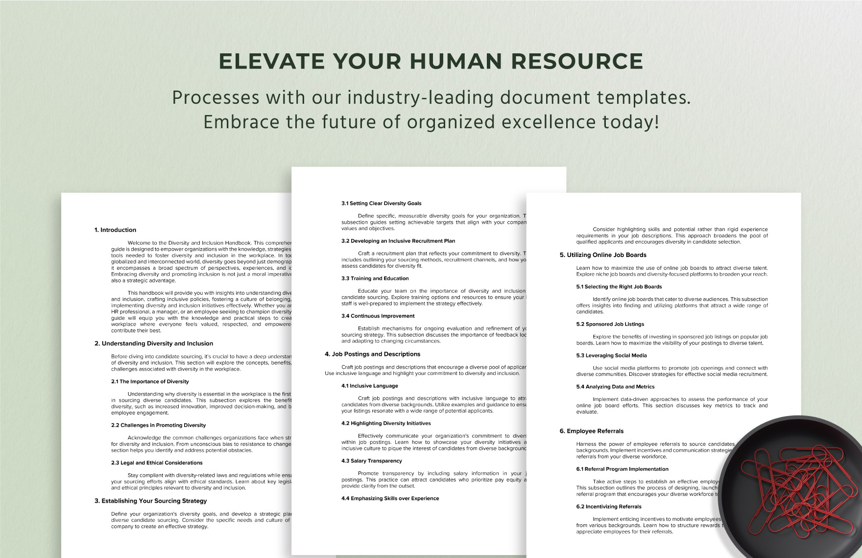 Diverse Candidate Sourcing Guide HR Template