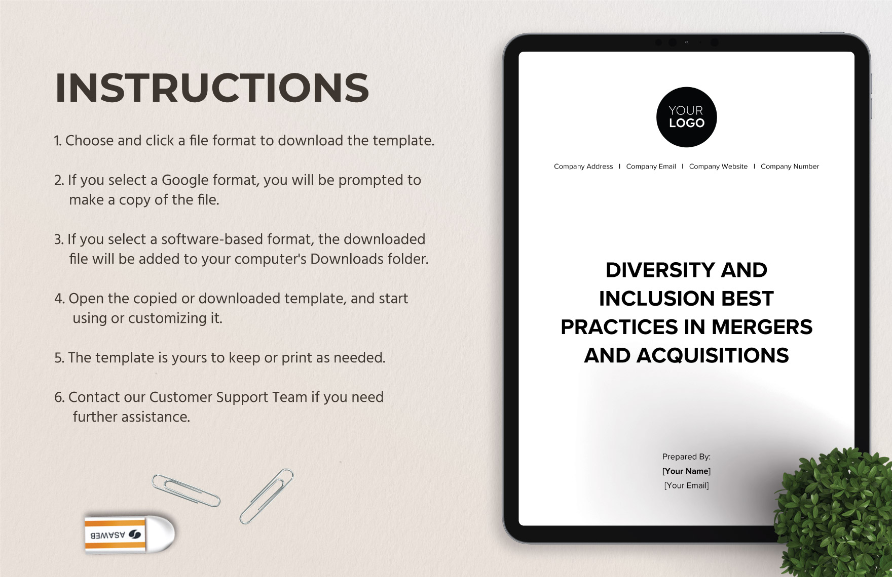 Diversity and Inclusion Best Practices in Mergers and Acquisitions HR Template