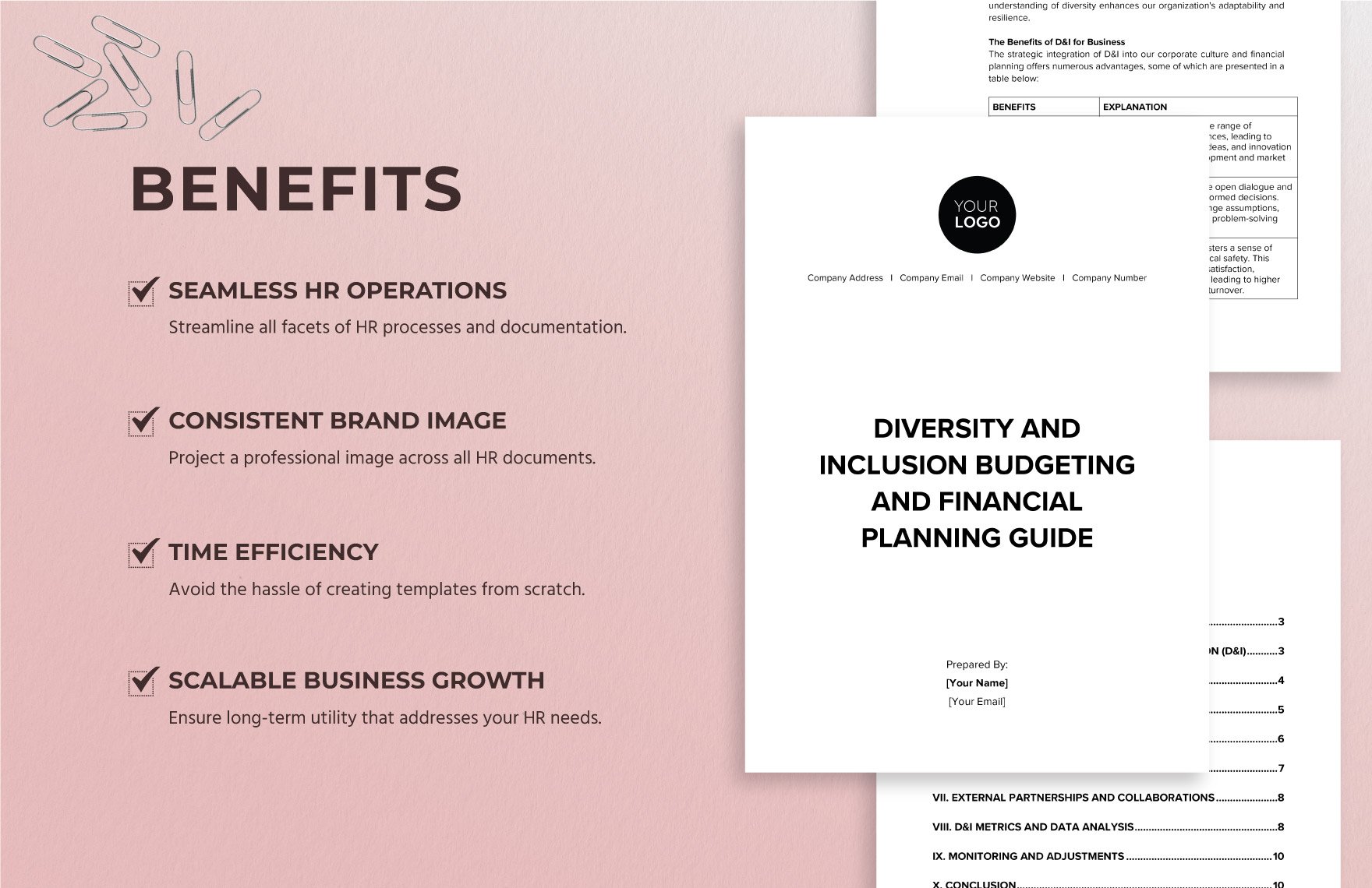 Diversity and Inclusion Budgeting and Financial Planning Guide HR Template