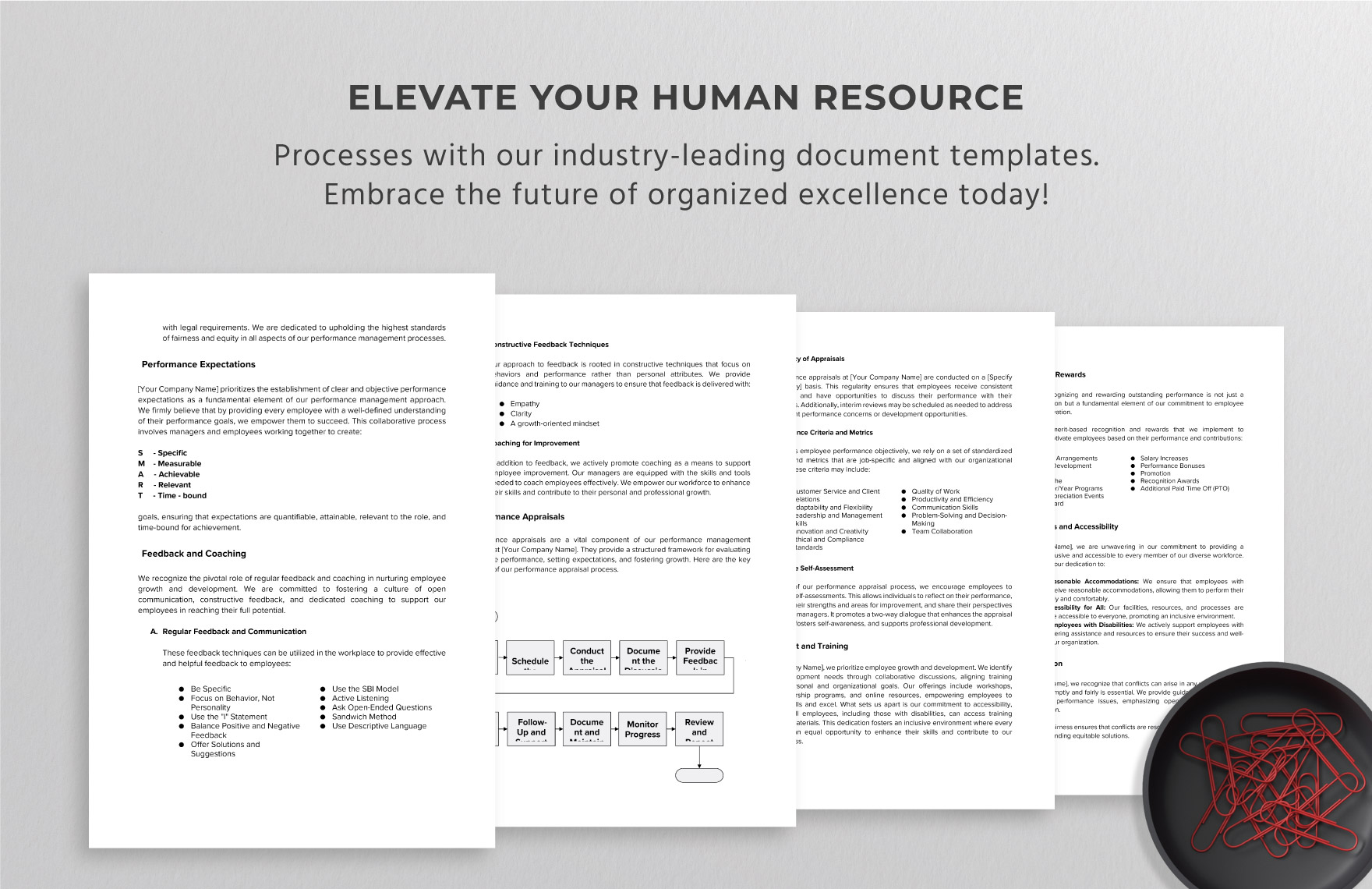 Inclusive Performance Management Handbook HR Template