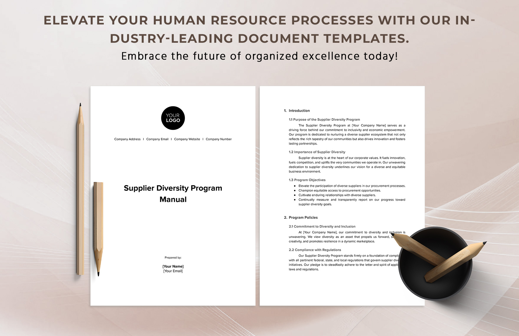 Supplier Diversity Program Manual HR Template