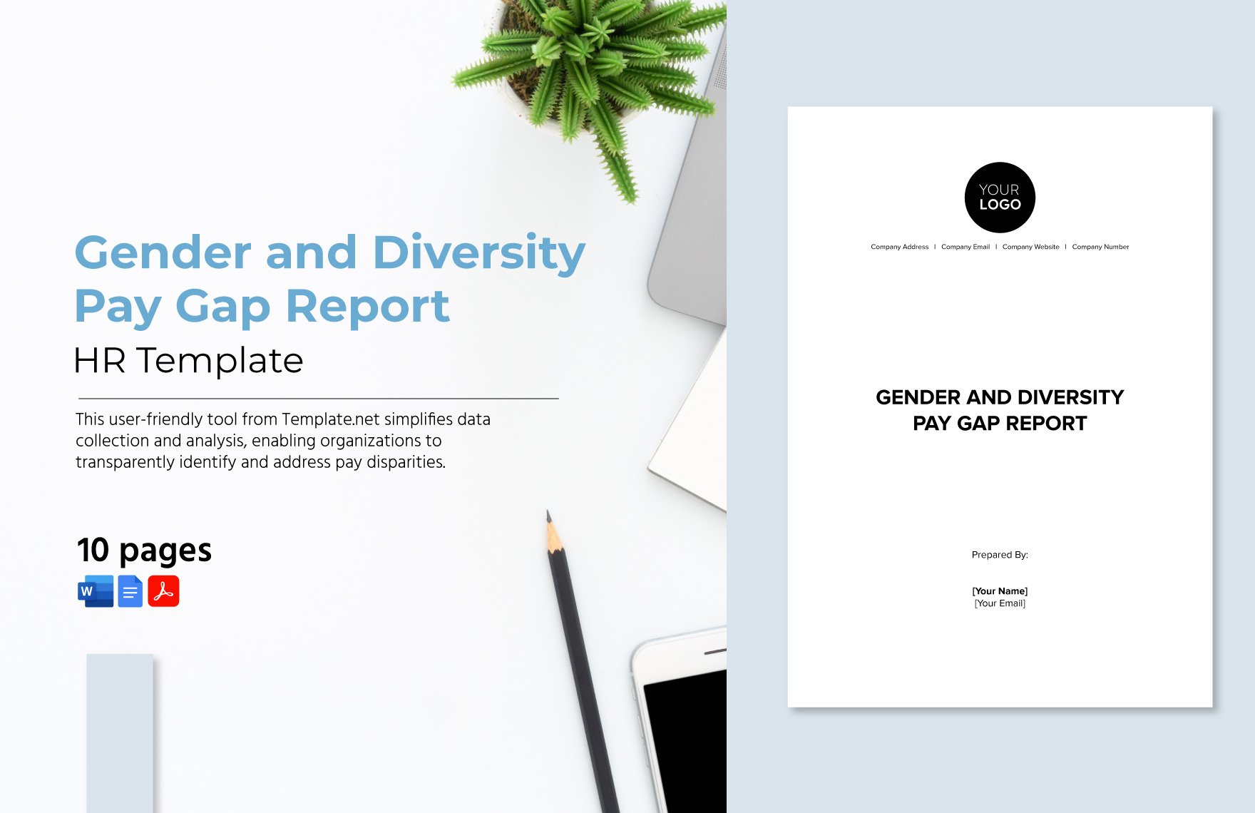 Gender and Diversity Pay Gap Report HR Template