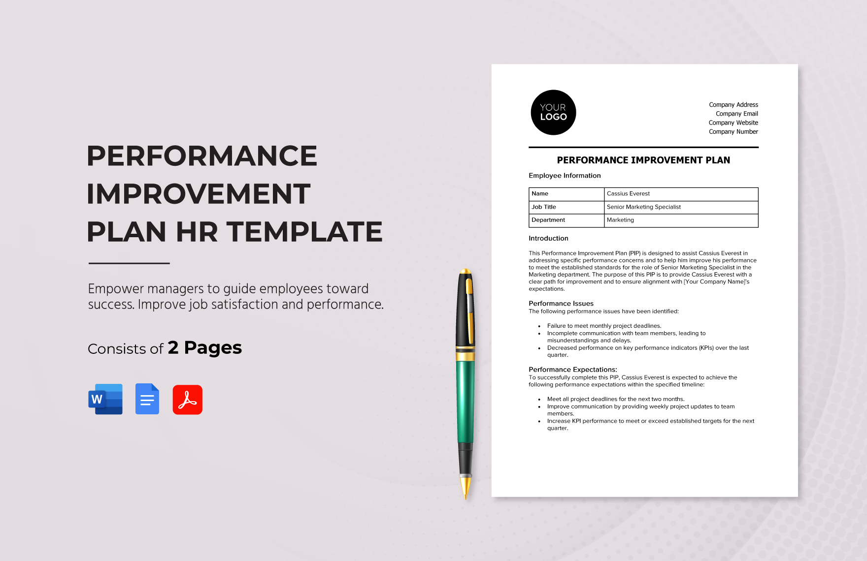 Performance Improvement Plan HR Template