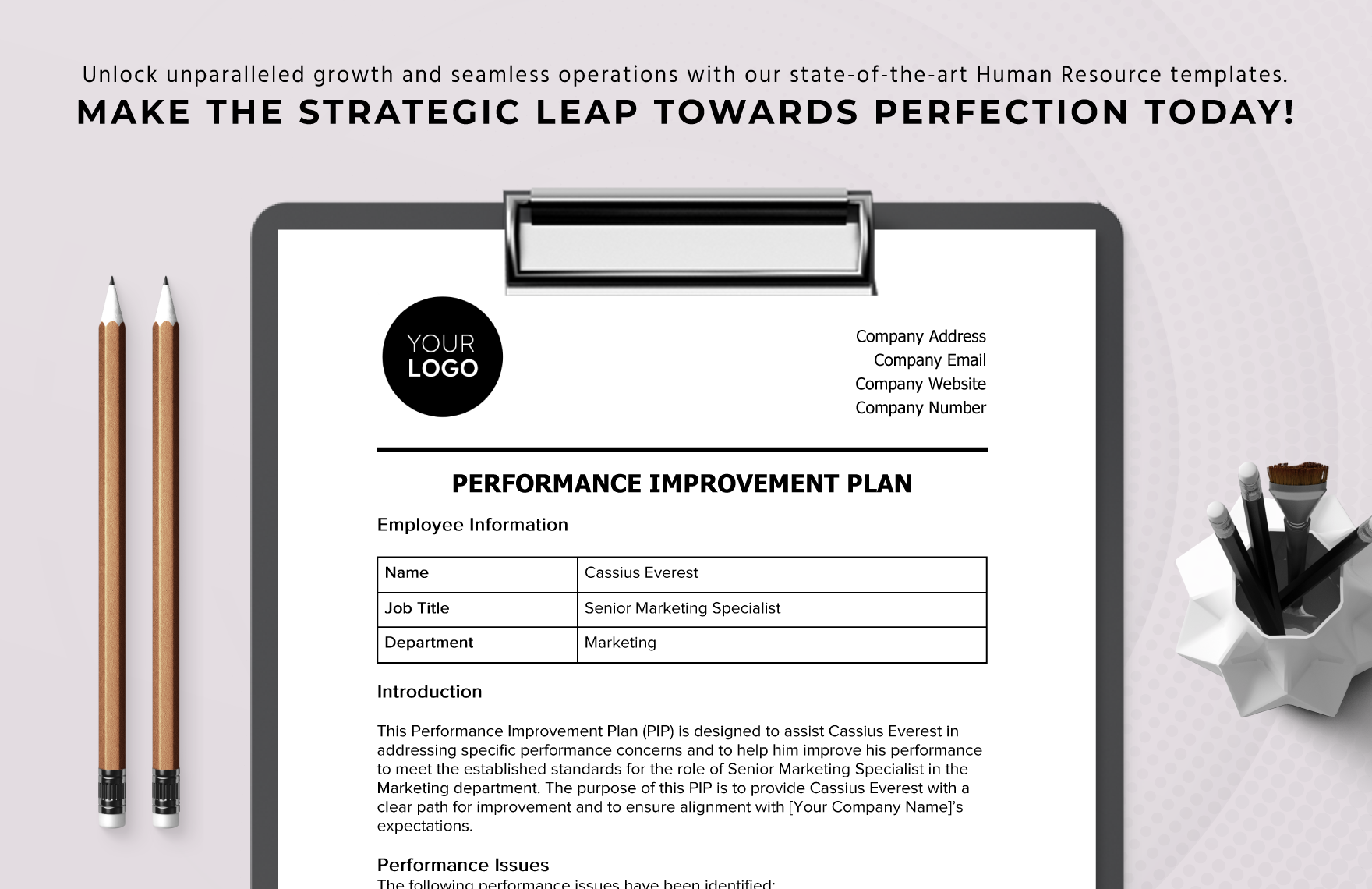 Performance Improvement Plan HR Template