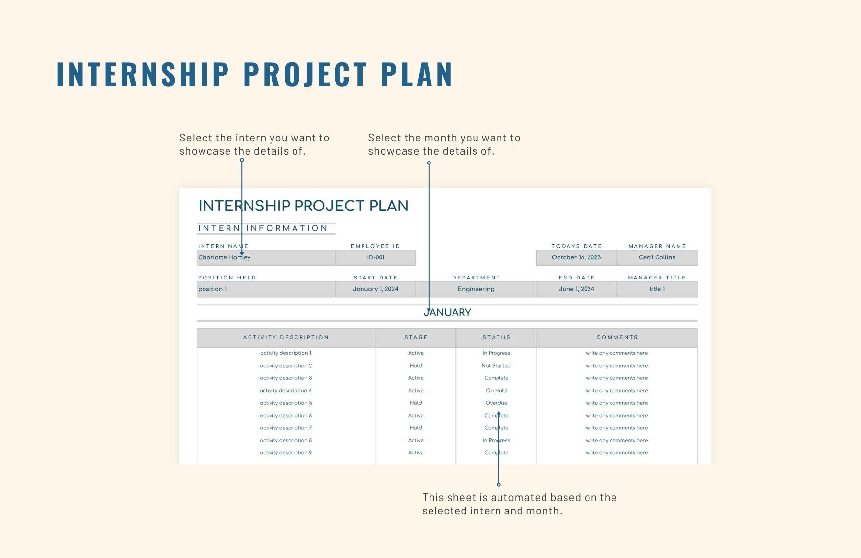 Internship Project Plan Template