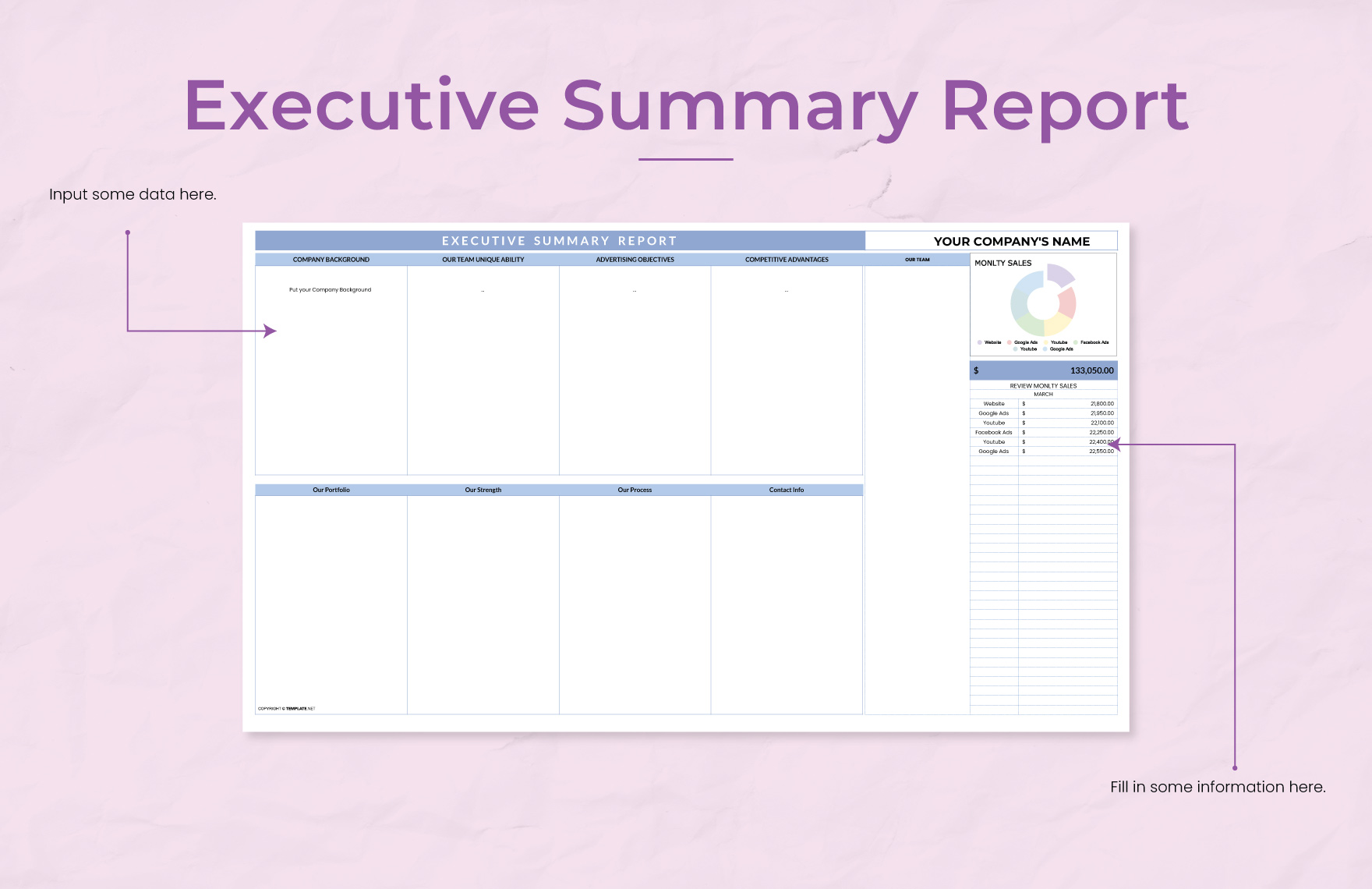 Executive Summary Report Templates In Excel Google Sheets Download Executive Summary Report Templates In Excel Google Sheets Download