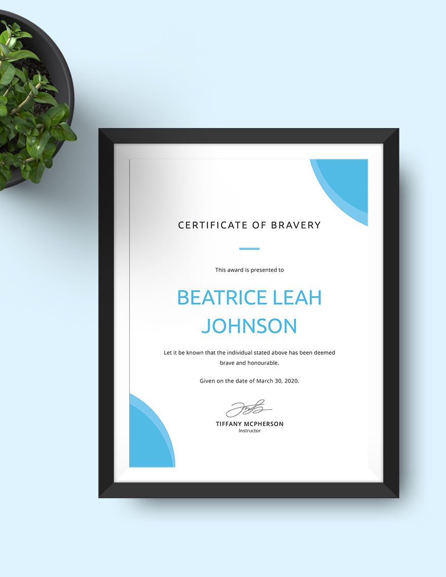 Bravery Award Certificate Example Template