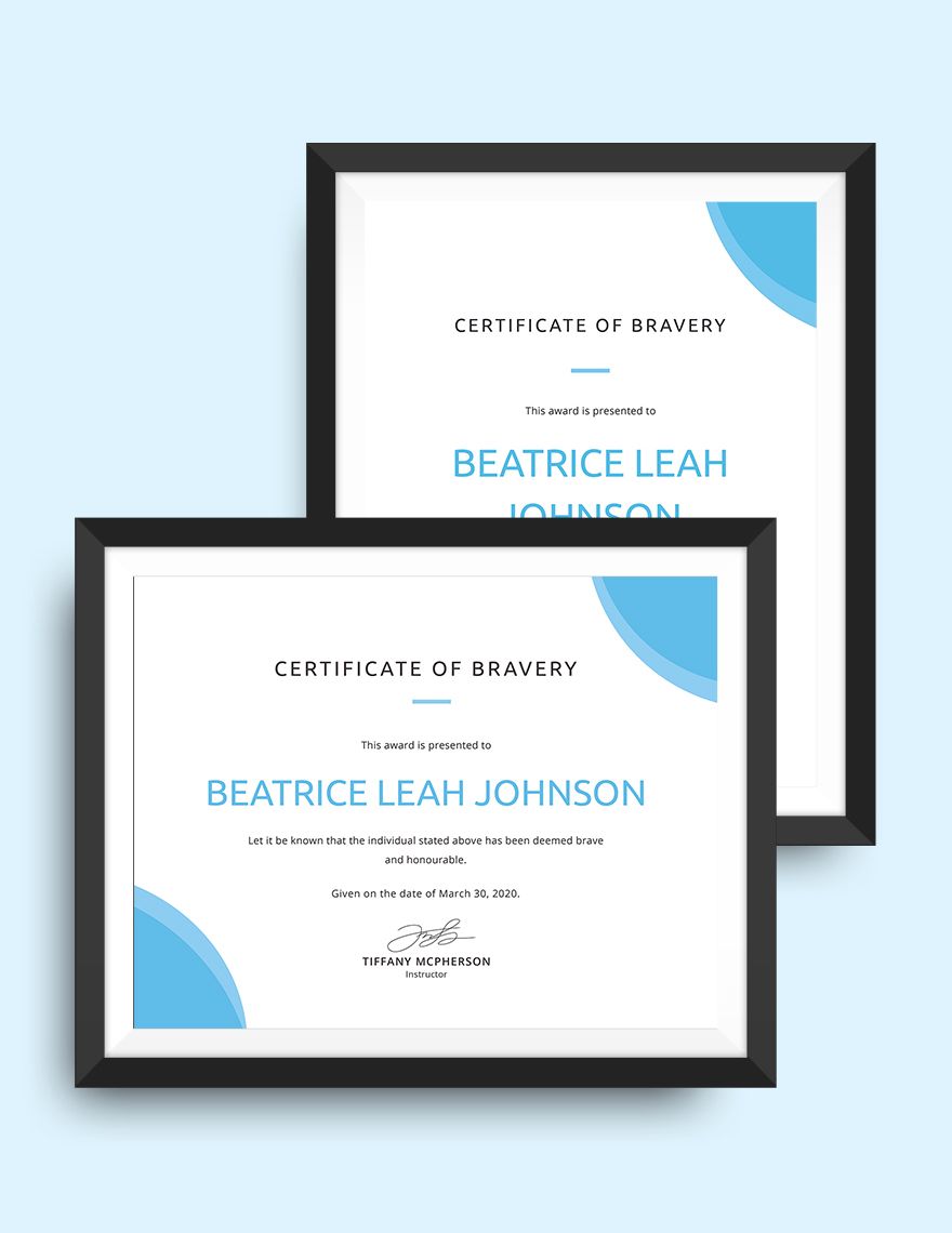 Bravery Award Certificate Example Template