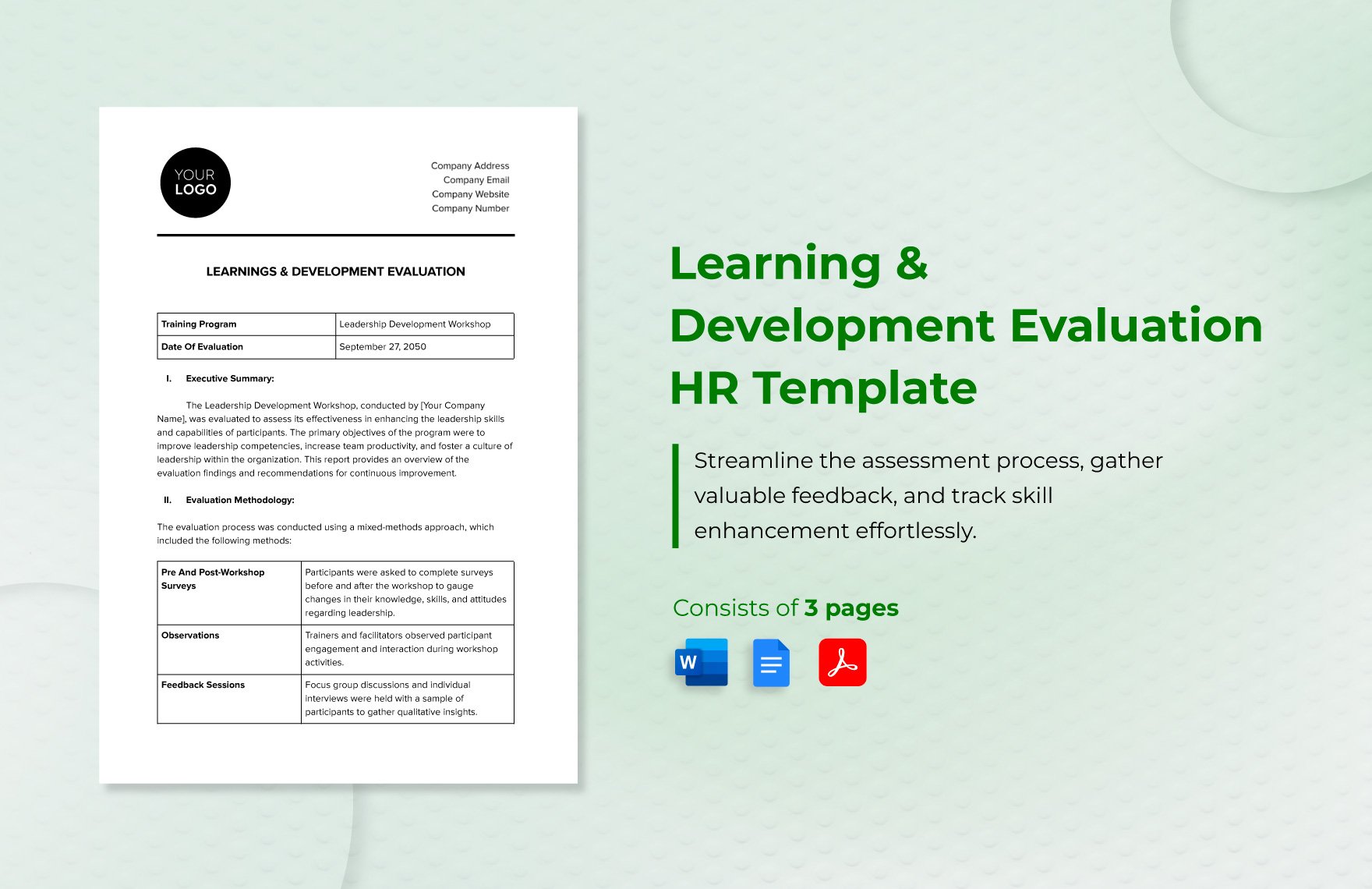 Learning & Development Evaluation HR Template in Word, Google Docs, PDF