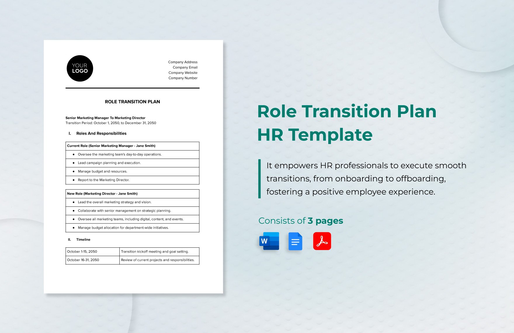 Role Transition Plan HR Template
