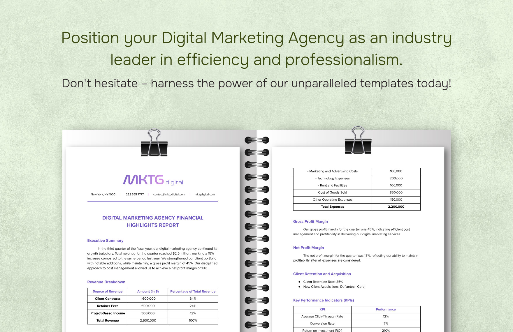 Digital Marketing Agency Financial Highlights Report Template