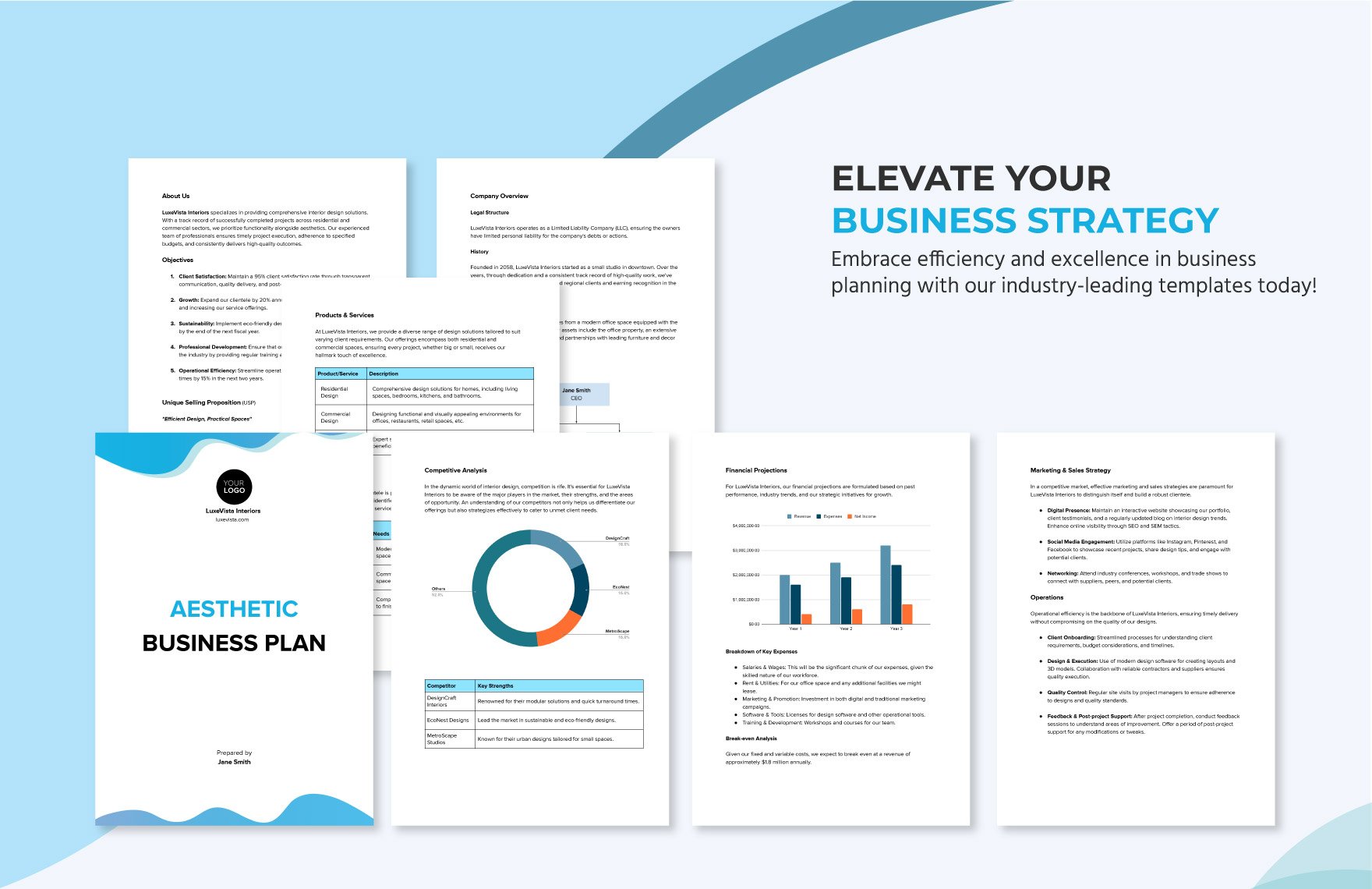 Aesthetic Business Plan Template