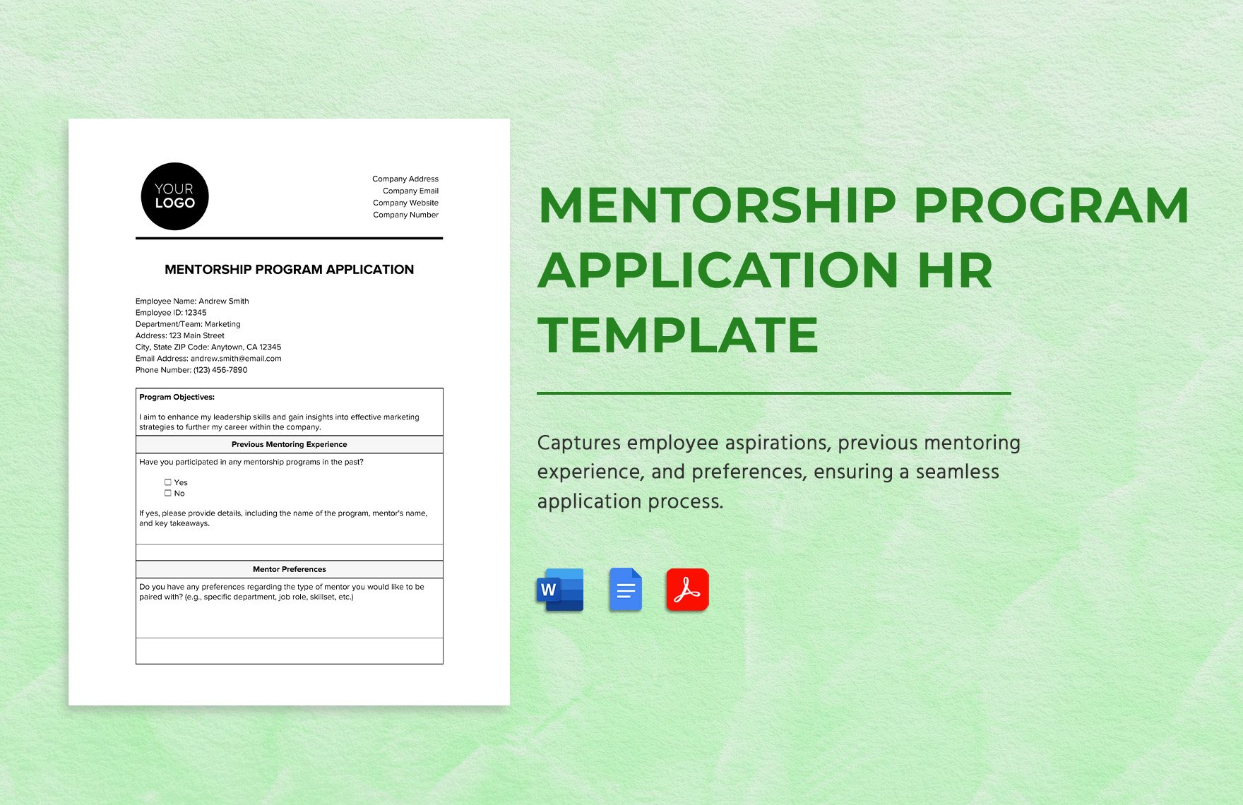 Mentorship Program Application HR Template
