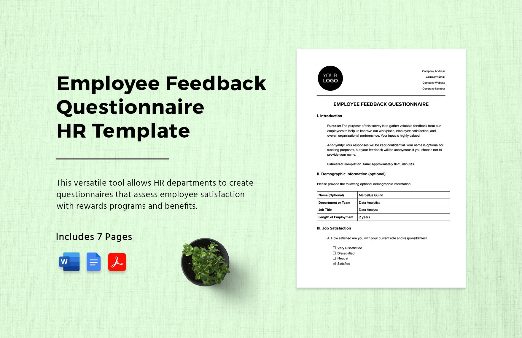 Employee Feedback Questionnaire HR Template
