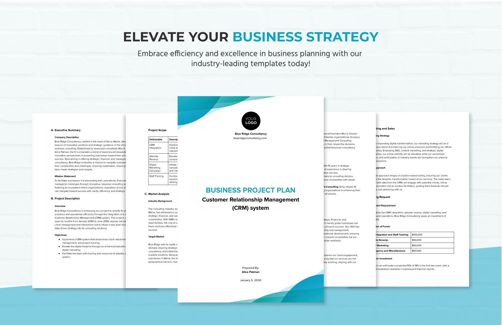  Business Project Plan Template