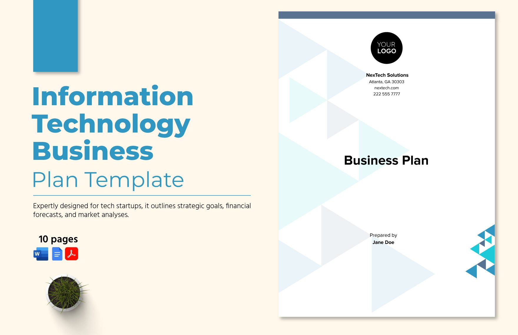 Information Technology Business Plan Template