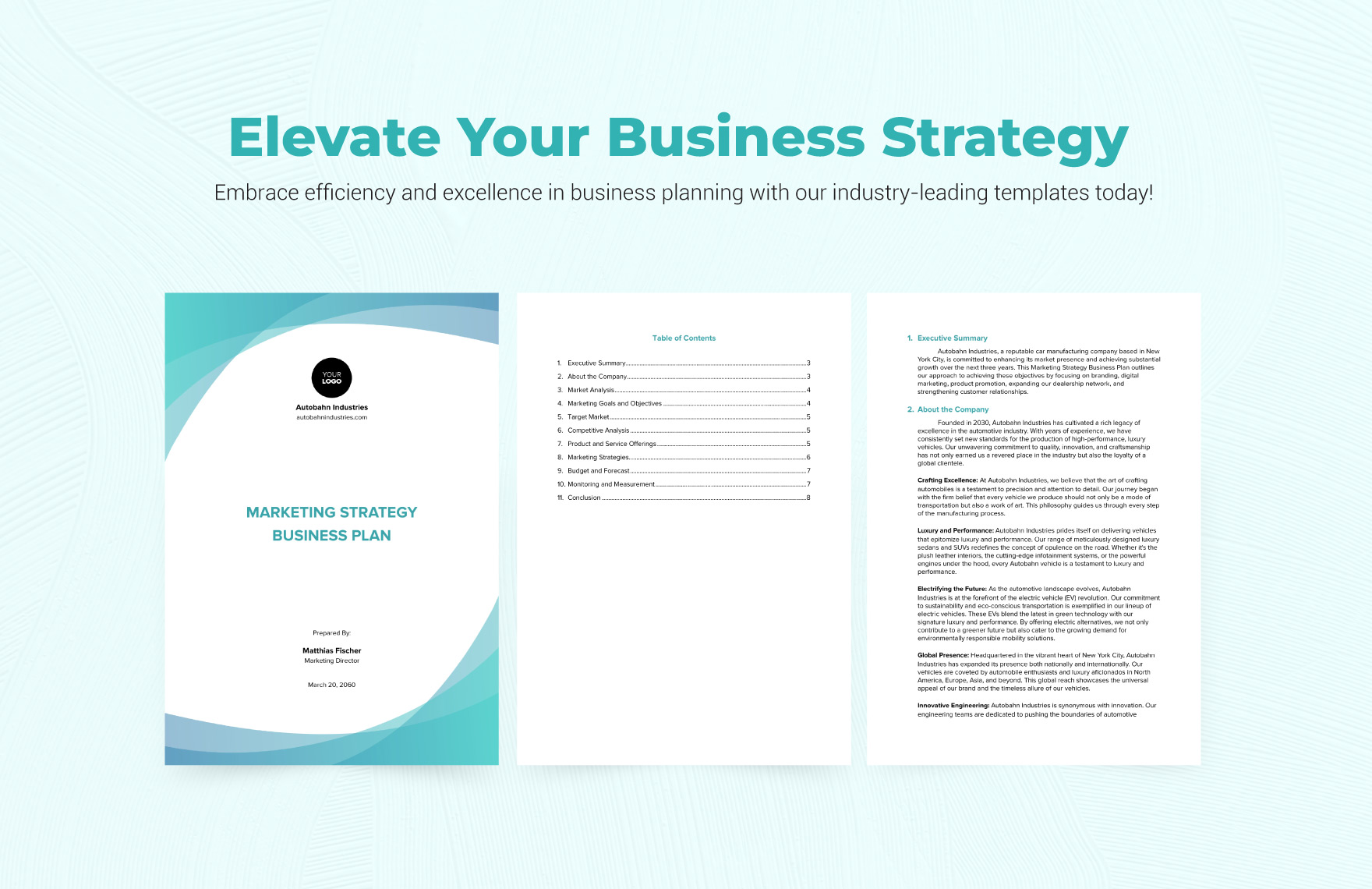 Marketing Strategy Business Plan Template In Google Docs Word PDF 