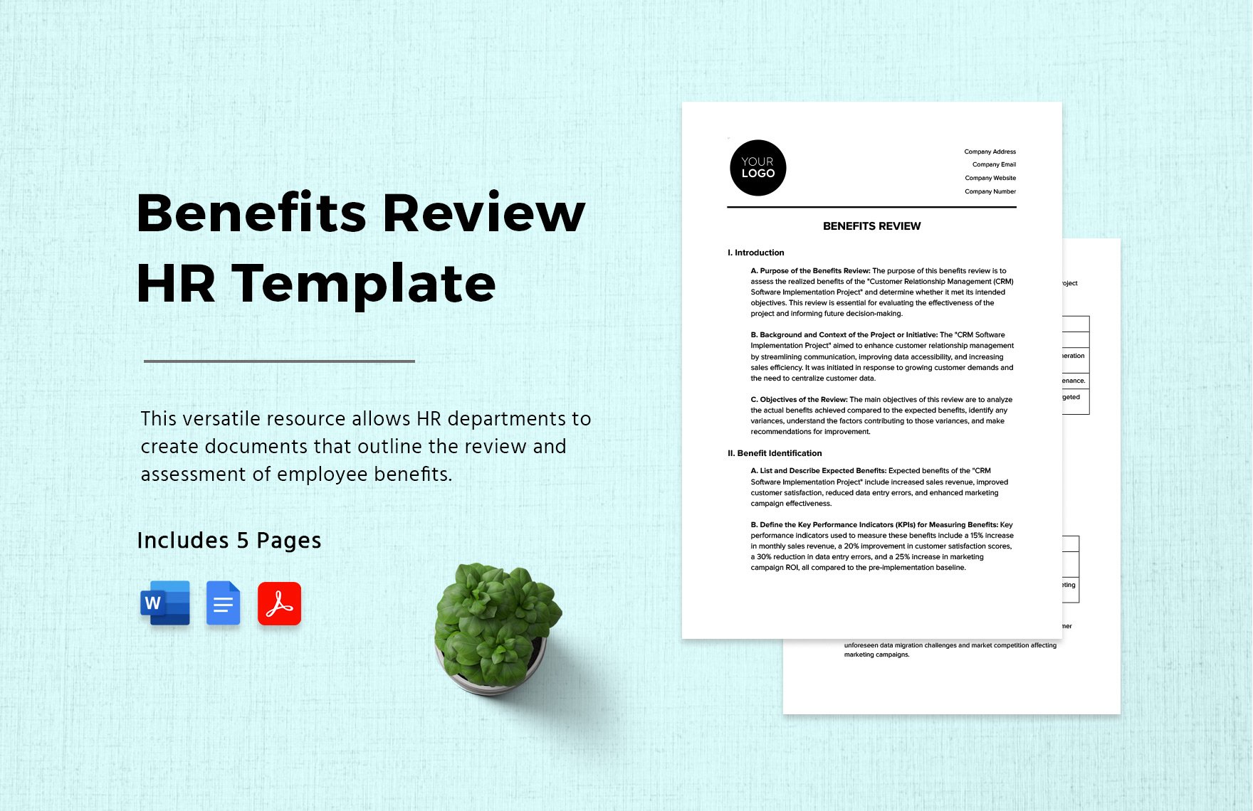 Benefits Review HR Template in Word, Google Docs, PDF