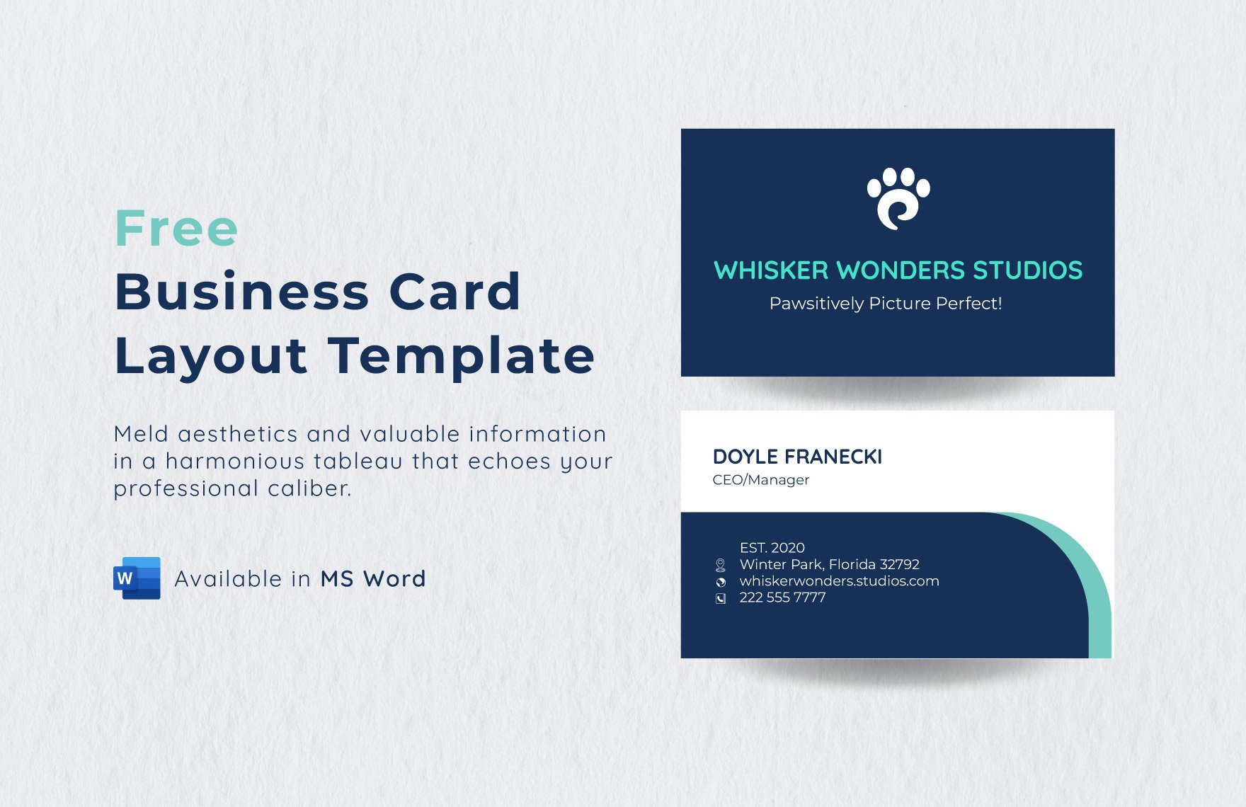 Blue and White Modern Company Business Card Template