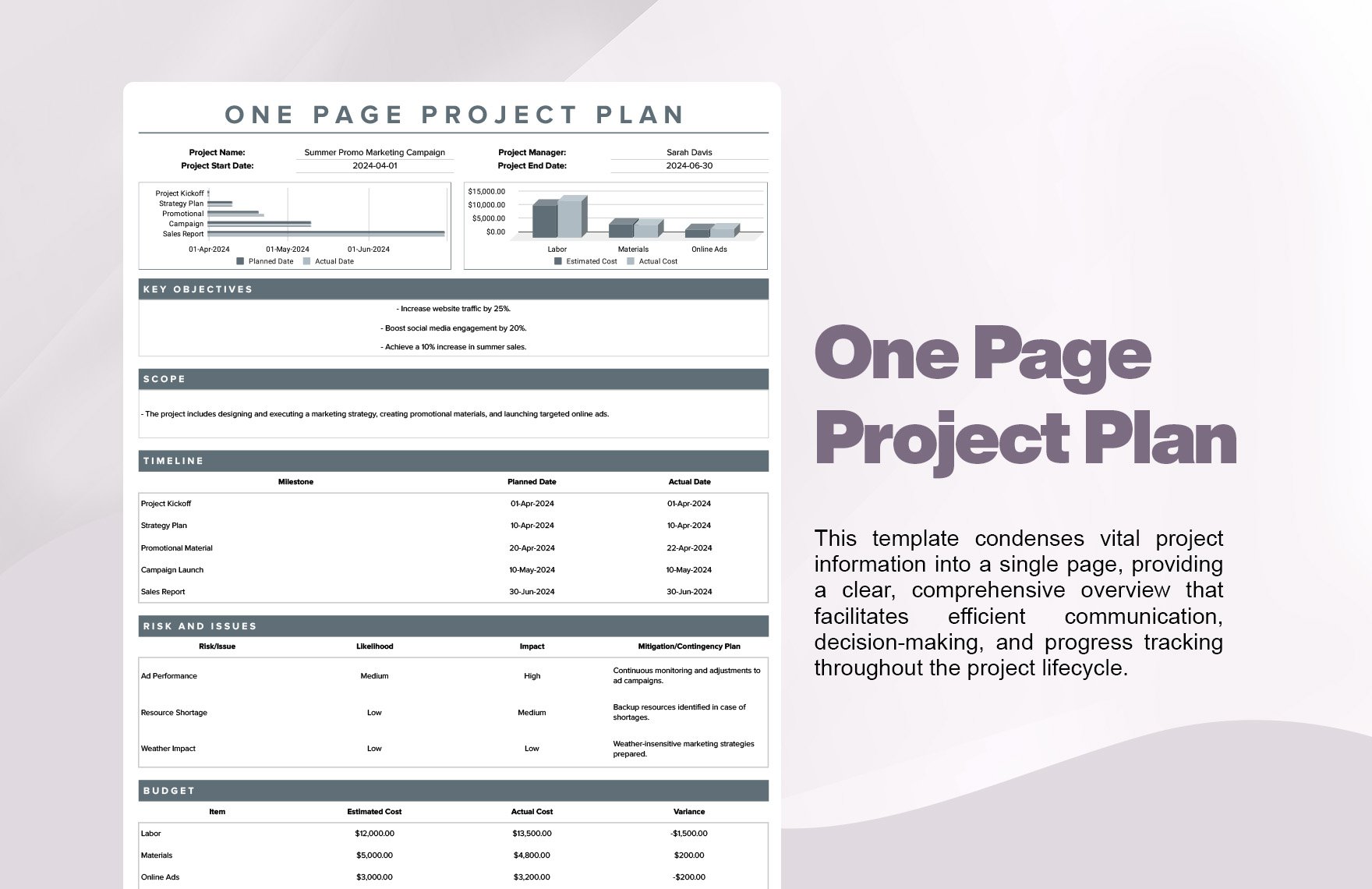 One Page Project Plan Template