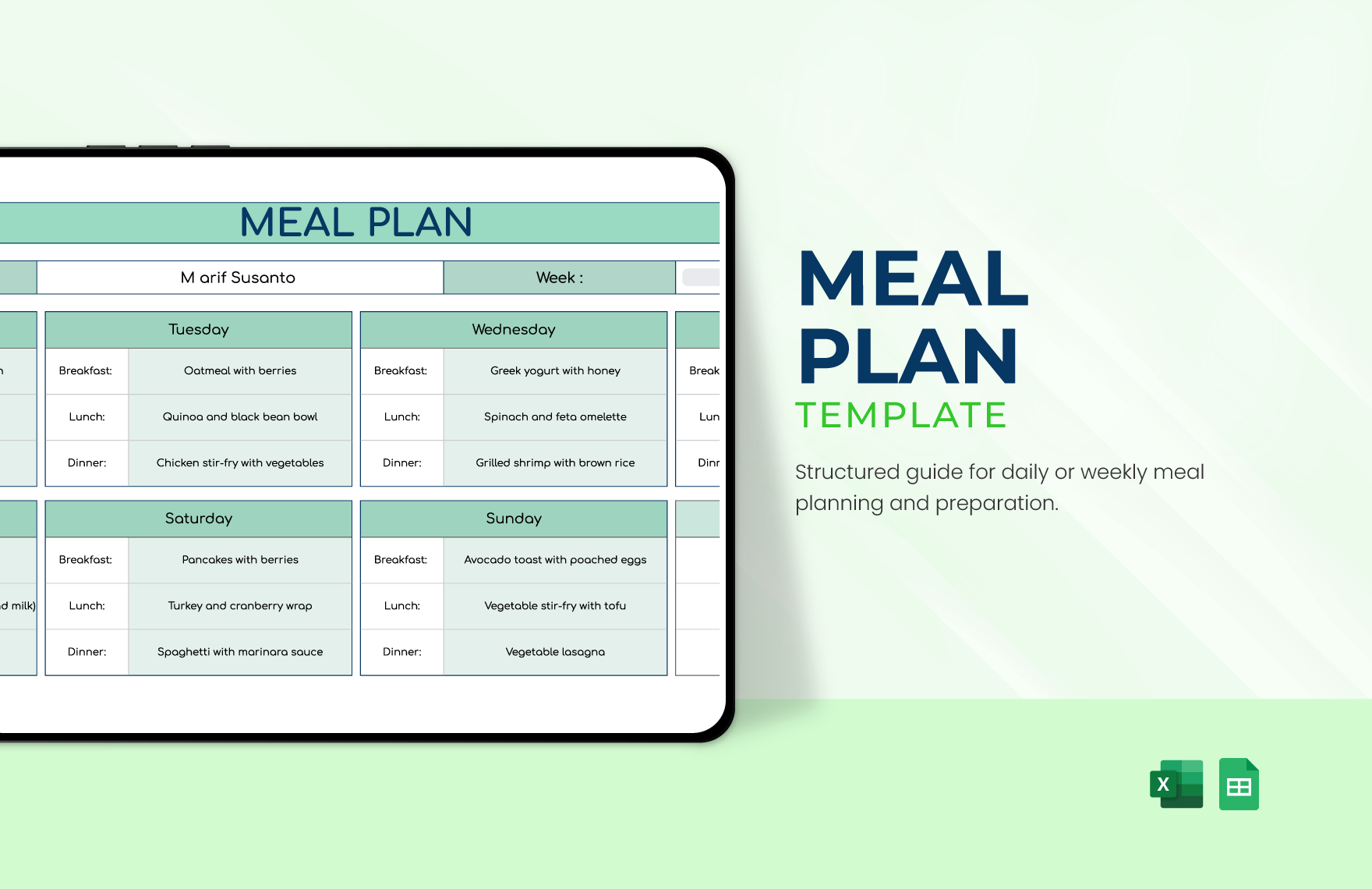 Free Meal Plan Template in Excel, Google Sheets
