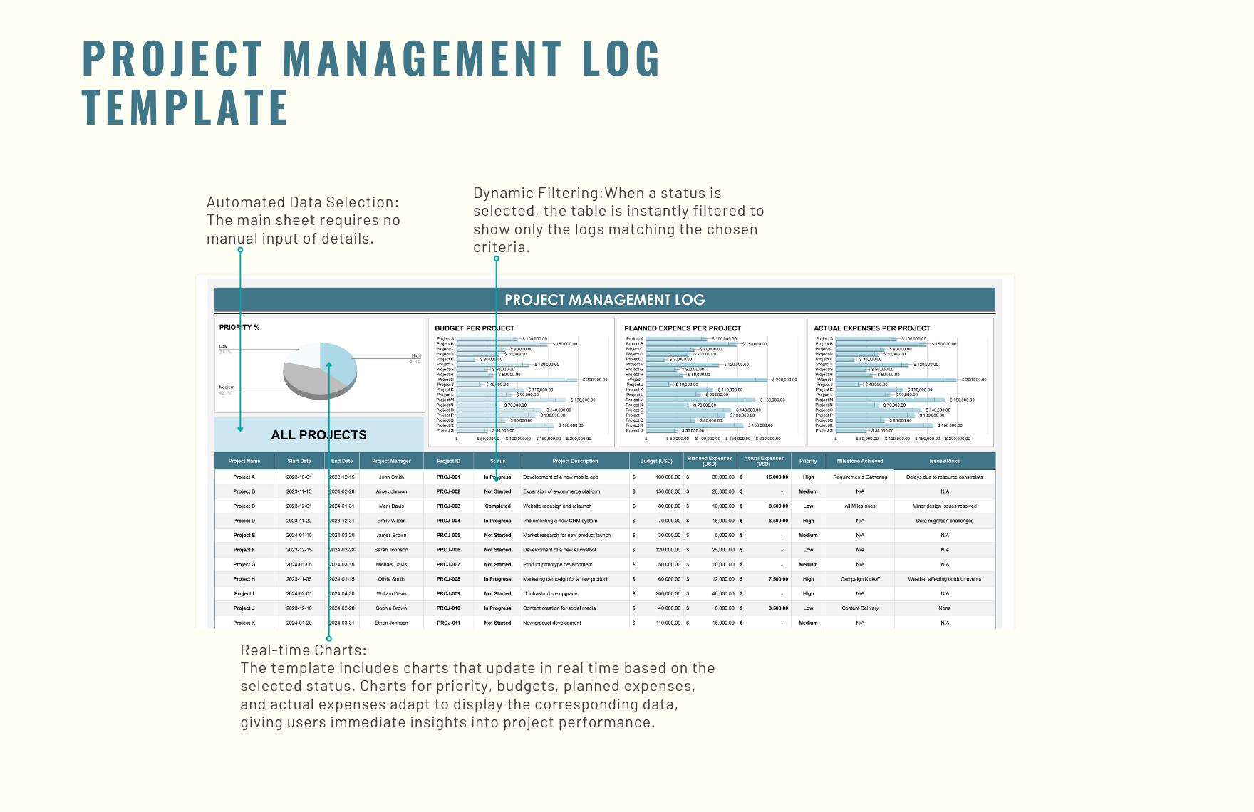 Project Management Log Template
