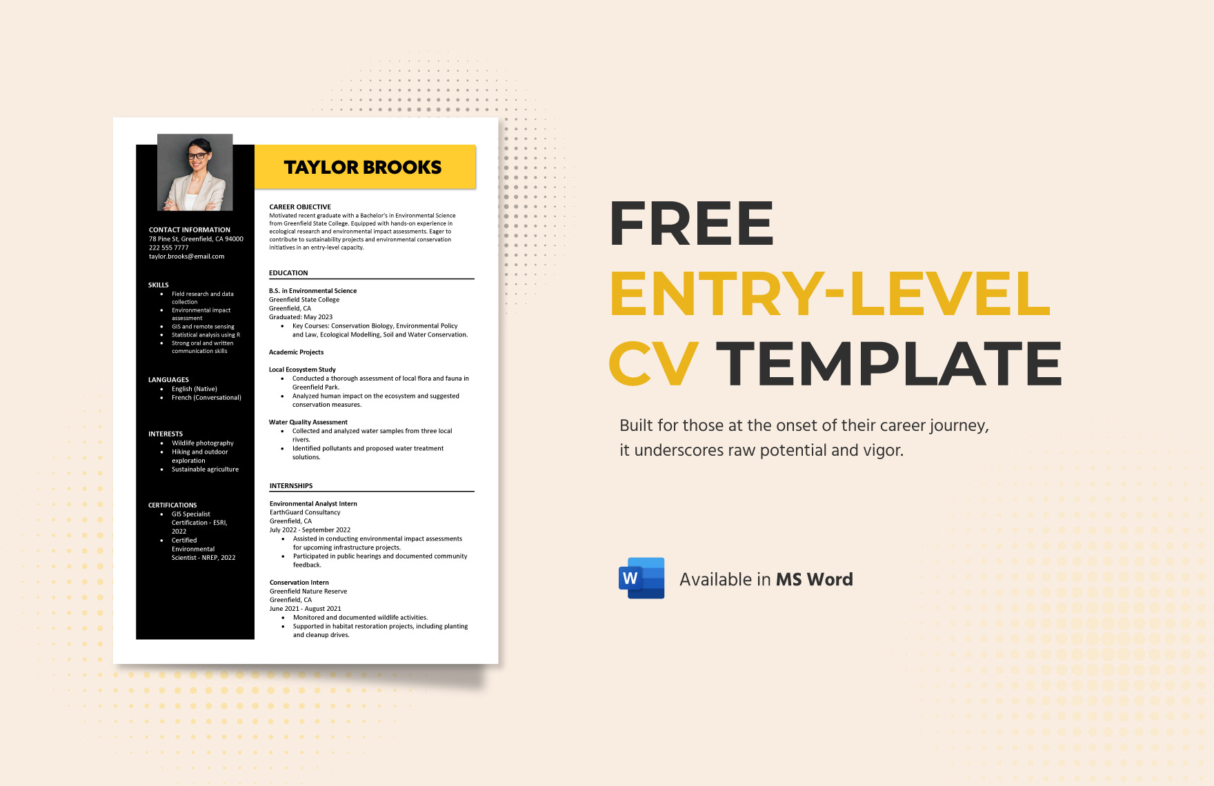 Free Entry-Level CV Template