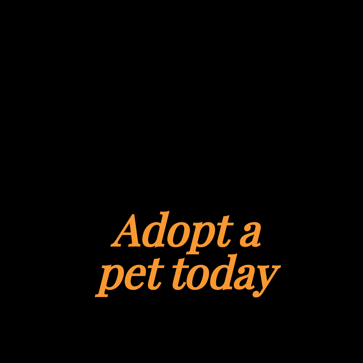 Pets Instagram Ad Template