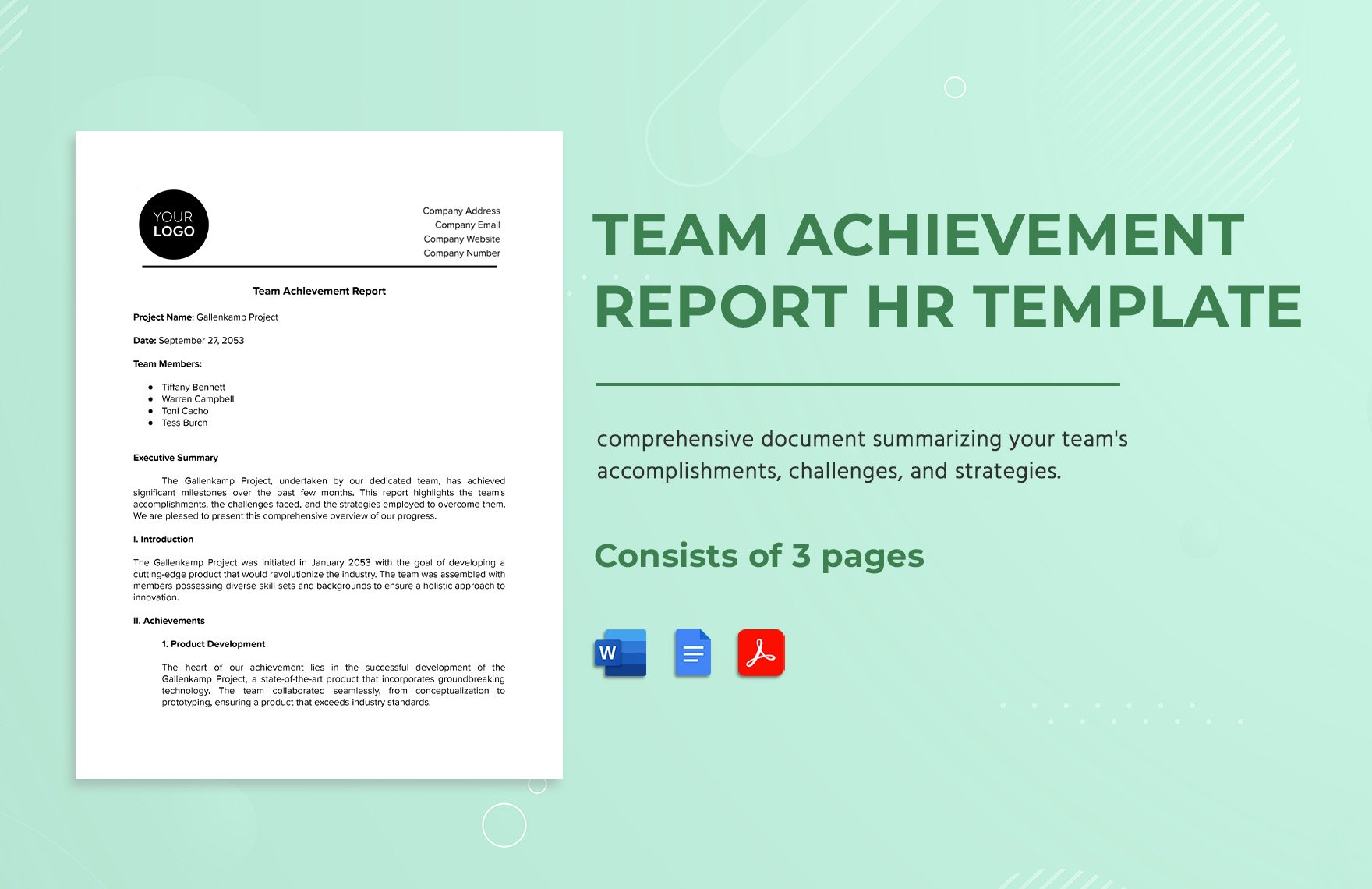 Team Achievement Report HR Template