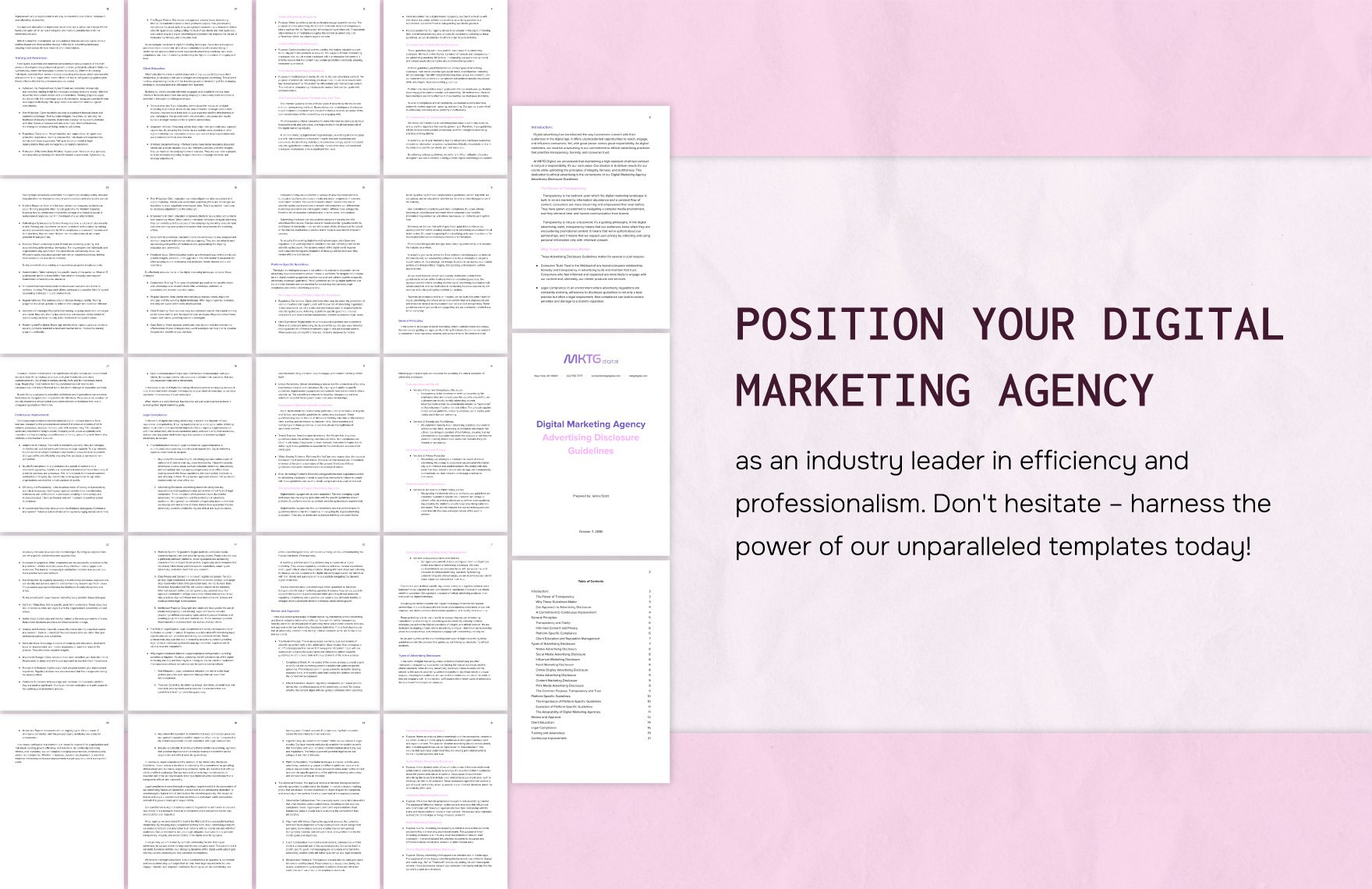 Digital Marketing Agency Advertising Disclosure Guidelines Template