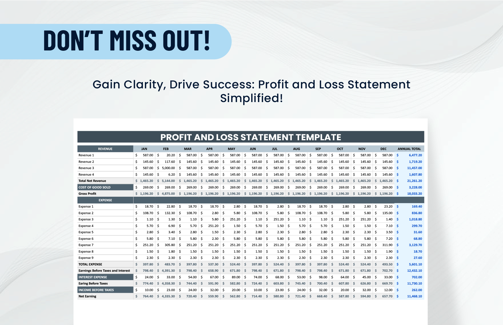 Profit and Loss Statement Template