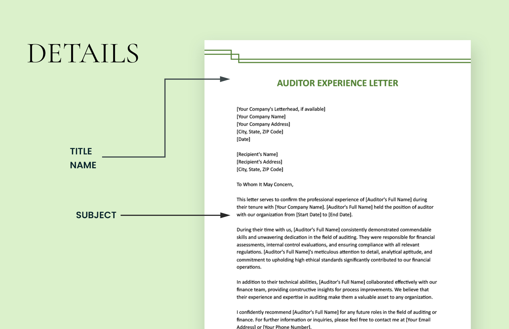 Auditor Experience Letter