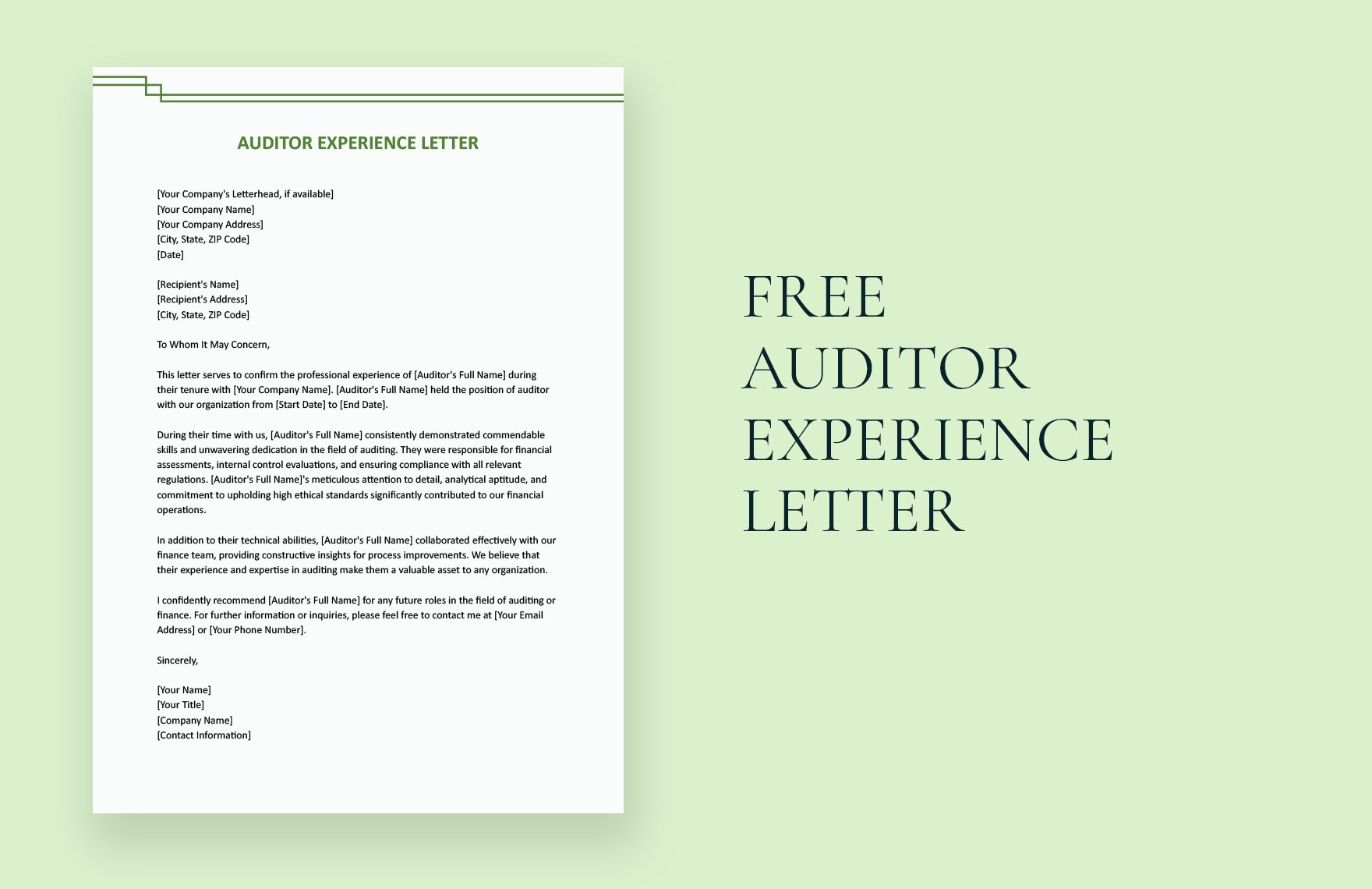 Auditor Experience Letter