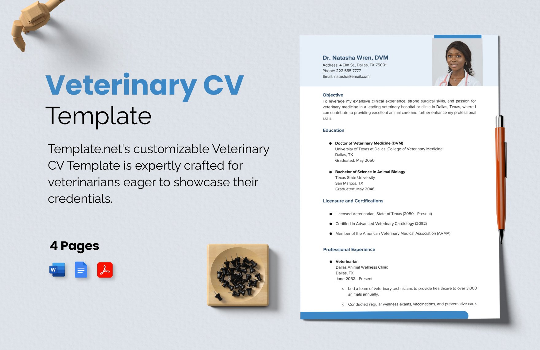 Veterinary CV Template 