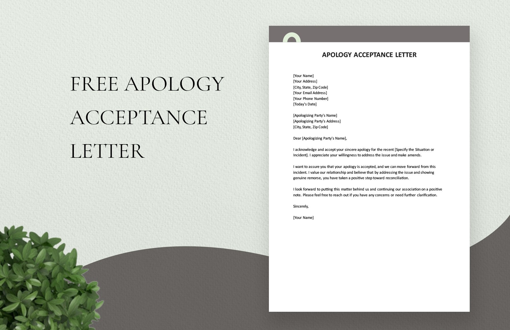 Apology Acceptance Letter